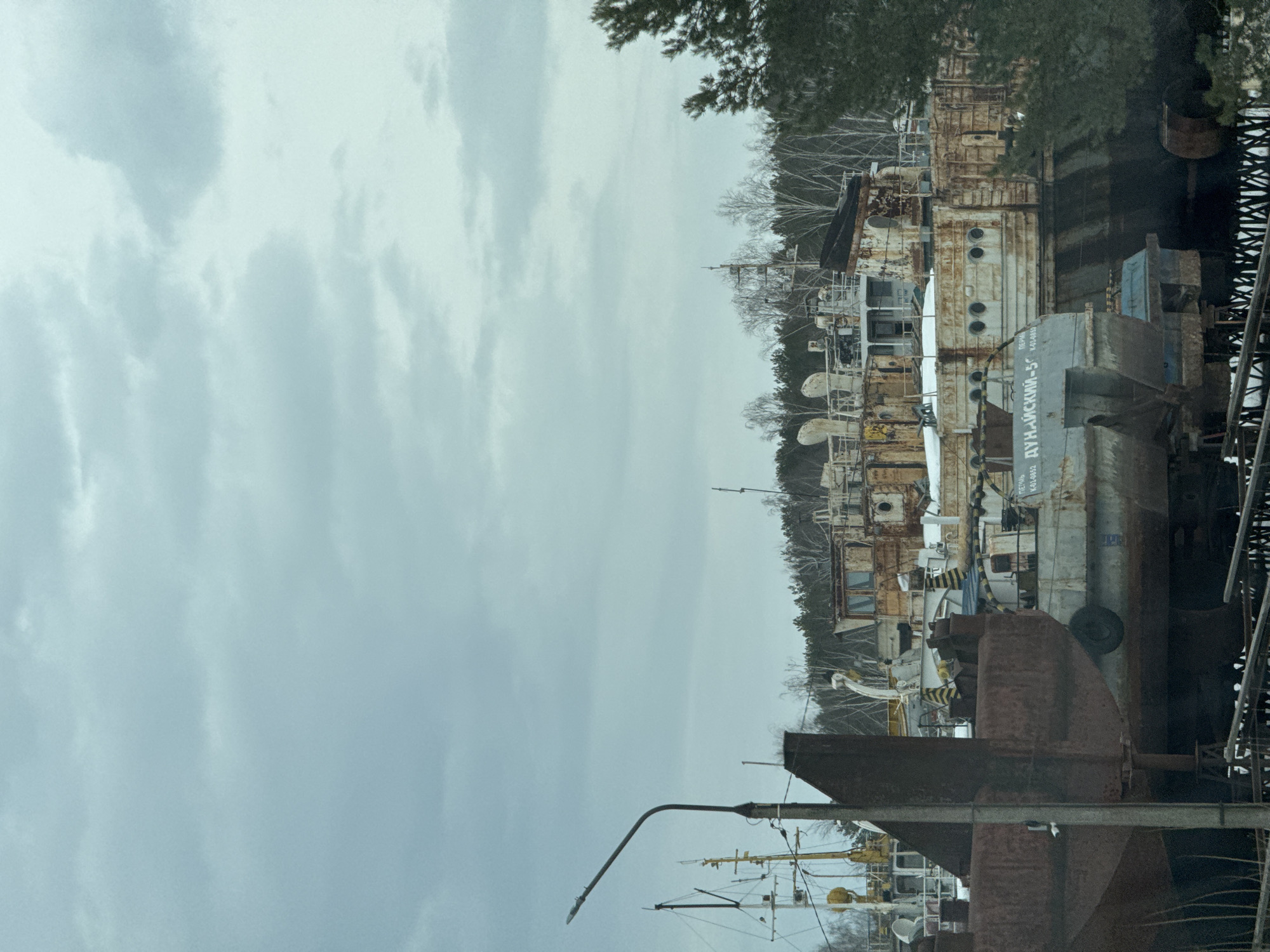 The image depicts a ship graveyard or salvage yard in an unspecified location near the city of Chaikovsky, Russia. Several rusting, decaying ships of various sizes are clustered together, their hulls and superstructures showing extensive corrosion and weathering. The presence of mature trees suggests the location is near a body of water and close to forested areas. A sky of overcast clouds fills the top third of the image.