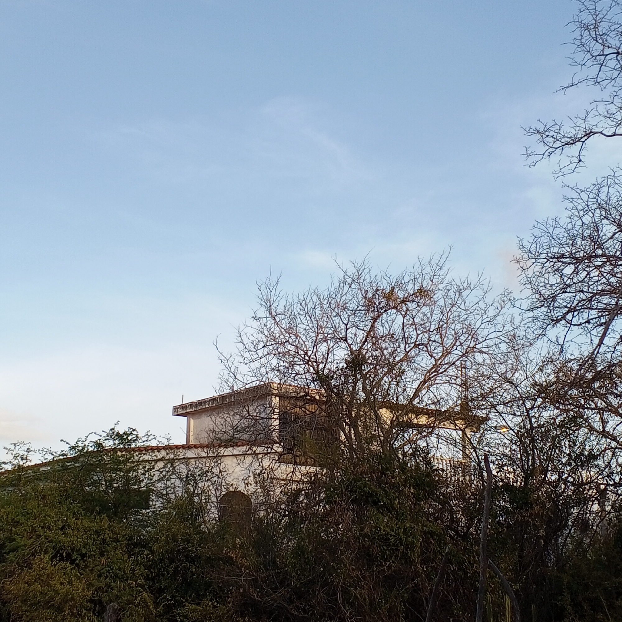 The image shows a partial view of a two-story building, seemingly abandoned or in disrepair, situated amidst dense vegetation and bare trees. The building is painted white with a red tile roof visible in some sections. The architecture features a flat roof extension on the second floor. The surrounding vegetation is a mix of green shrubs and leafless trees, obscuring much of the lower portion of the building. The sky is pale blue with a few wispy clouds. No people are visible in the scene. The specific location is unknown.
