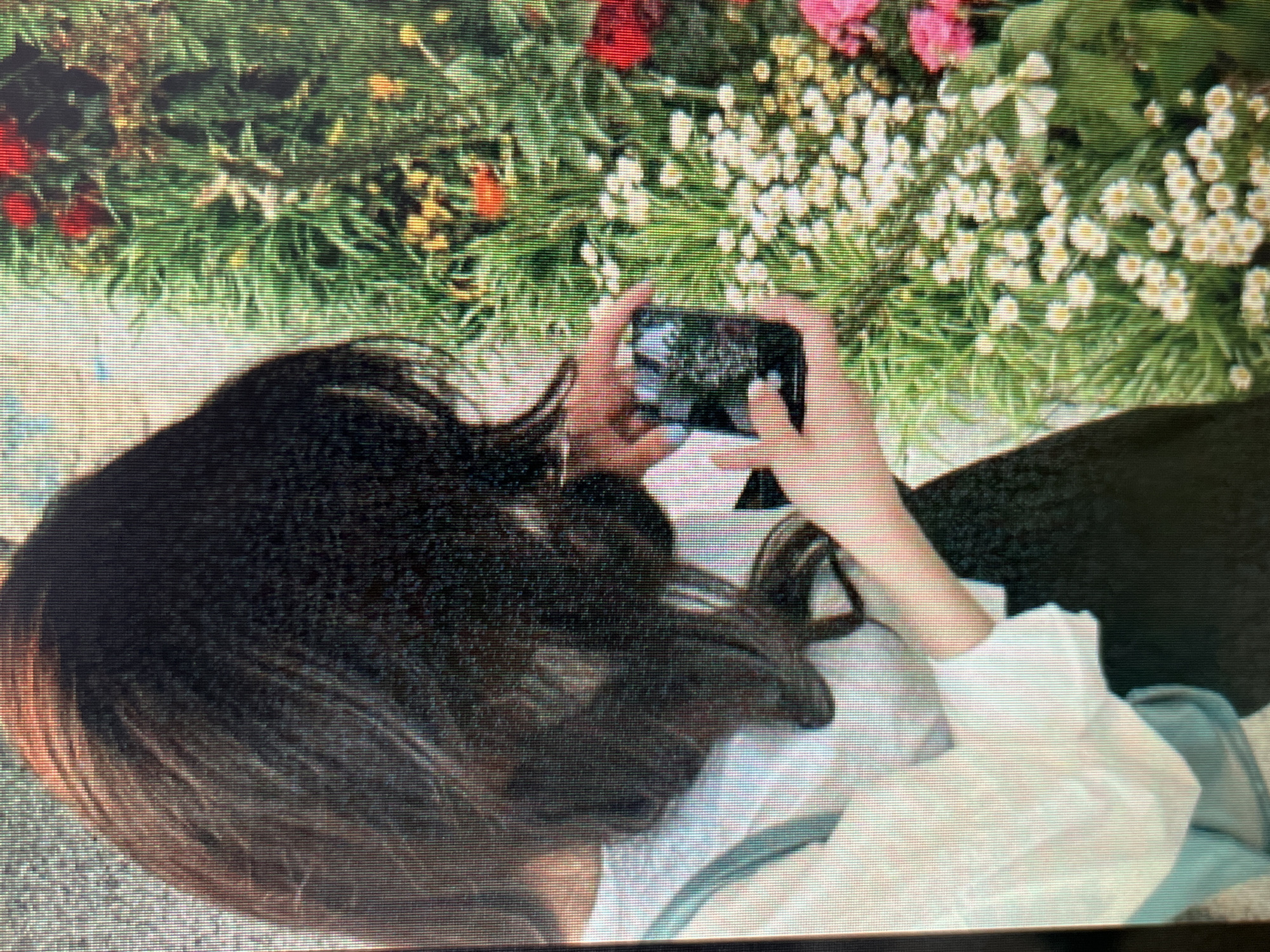 The image shows a person's side profile, from the neck up, as they hold a smartphone to take a picture of a flower garden. The person has long, dark hair that covers most of their face. They are wearing a white shirt with a light blue strap over their shoulder. The garden is filled with green foliage, small white flowers, and some larger red and pink flowers. The overall scene suggests a casual outdoor activity in a floral setting. The location is not specified in the image, and therefore cannot be determined to be Sejahtera, Indonesia.