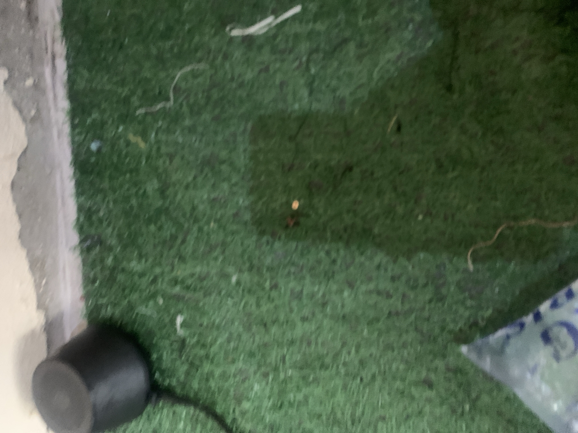 The image depicts a close-up, slightly blurred view of a patch of green artificial turf, suggesting an indoor or covered outdoor area. A black conical object, possibly a speaker or a stand, is visible in the upper left corner, attached to a black wire. The turf appears somewhat worn and may have debris or dirt scattered across it. In the center of the image, two small, bright spots are visible, possibly reflections or tiny objects. A translucent plastic bag with blue markings is partially visible in the lower left corner. The overall impression is one of a simple, possibly domestic setting, with no clear indicators of the specific location within Jauro Yinu, Nigeria, beyond the general visual characteristics of the scene.