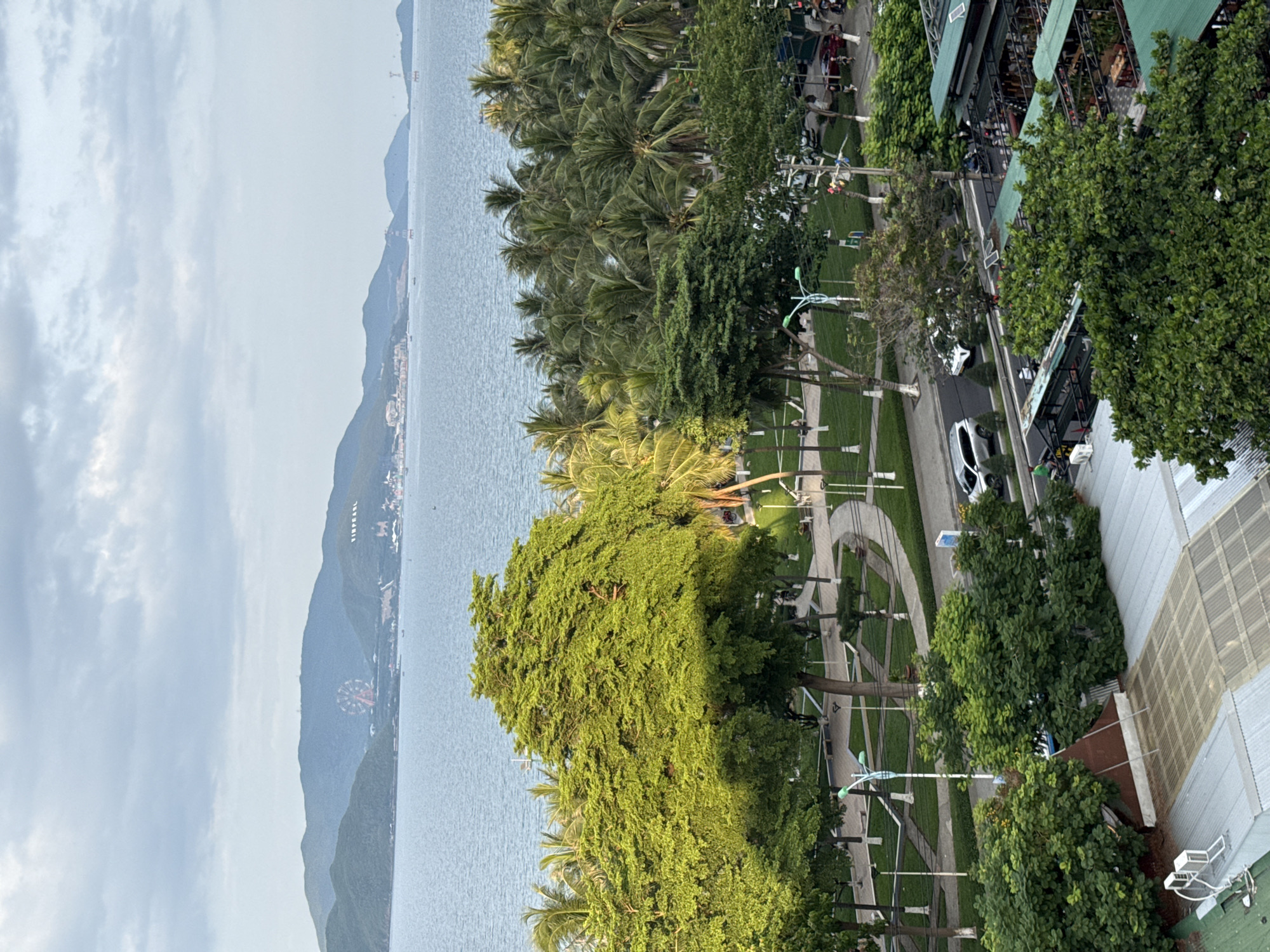 The image captures a scene in Nha Trang, Vietnam, overlooking a bay with a distant mountainous coastline. In the foreground, a lush green park area is visible, with winding pathways and manicured lawns. Several large trees, including a prominent bright green deciduous tree and numerous palm trees, dominate the park. A road runs alongside the park, with vehicles including cars and motorcycles present. Buildings with green roofs and outdoor seating areas are situated across the road. In the background, the calm blue water of the bay extends towards the horizon, with islands and a Ferris wheel visible on the mountainous landscape. The sky is partly cloudy. There are no people clearly identifiable in the image. The overall impression is a vibrant coastal city scene with a blend of natural beauty and urban development.