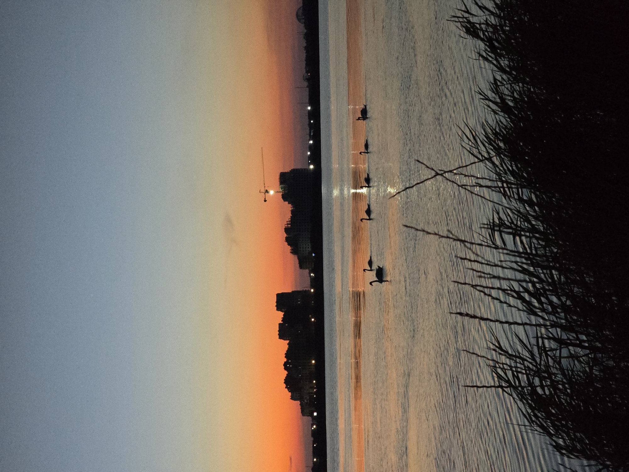 The image depicts a tranquil sunset scene over a body of water in Yevpatoriya, Ukraine. The sky transitions from a deep blue at the top to a vibrant orange and yellow near the horizon, casting a warm glow on the water's surface. Several swans are visible swimming in the water, their dark silhouettes contrasting with the colorful reflection of the sky. In the background, a city skyline is silhouetted against the sunset, with buildings and a construction crane identifiable. The foreground is dominated by dark, silhouetted reeds or tall grass, adding a natural element to the composition. The overall atmosphere is serene and picturesque, capturing the beauty of nature at dusk.
