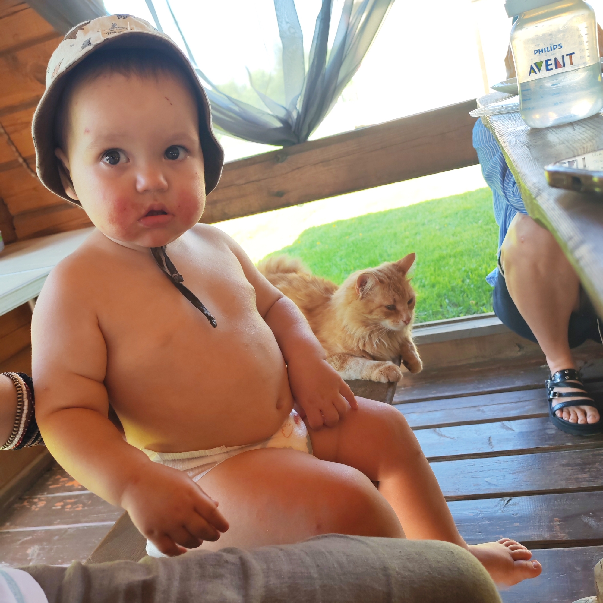 A close-up shows an infant, possibly male, wearing a beige bucket hat and a white diaper, sitting outdoors. The infant has a rash or food residue around the mouth. Behind the infant, to the right, is a ginger cat sitting in a wooden planter box. To the far right, there is part of a table with a Philips Avent bottle and a woman wearing black sandal shoes seated nearby. The flooring is made of wooden planks. Outside the deck, a green lawn is visible. The location is identifiable as Malyi Bukor, Russia because it is known from the location setting of the image. The image does not provide specific details that allow identification of the location without such context.