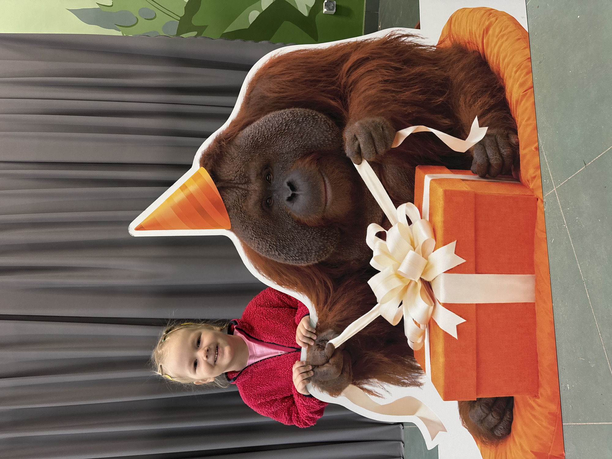 A young girl in a red jacket poses with an orangutan birthday-themed cutout, likely in Perm, Russia. The cutout features an orangutan wearing an orange striped party hat and holding a wrapped orange gift with a white bow and ribbon. The girl stands to the side of the cutout, holding the ribbon to simulate an interaction. The background includes a gray curtain and part of a green wall with a cartoon-like leaf design, indicating an indoor location, possibly a zoo or a children's museum.