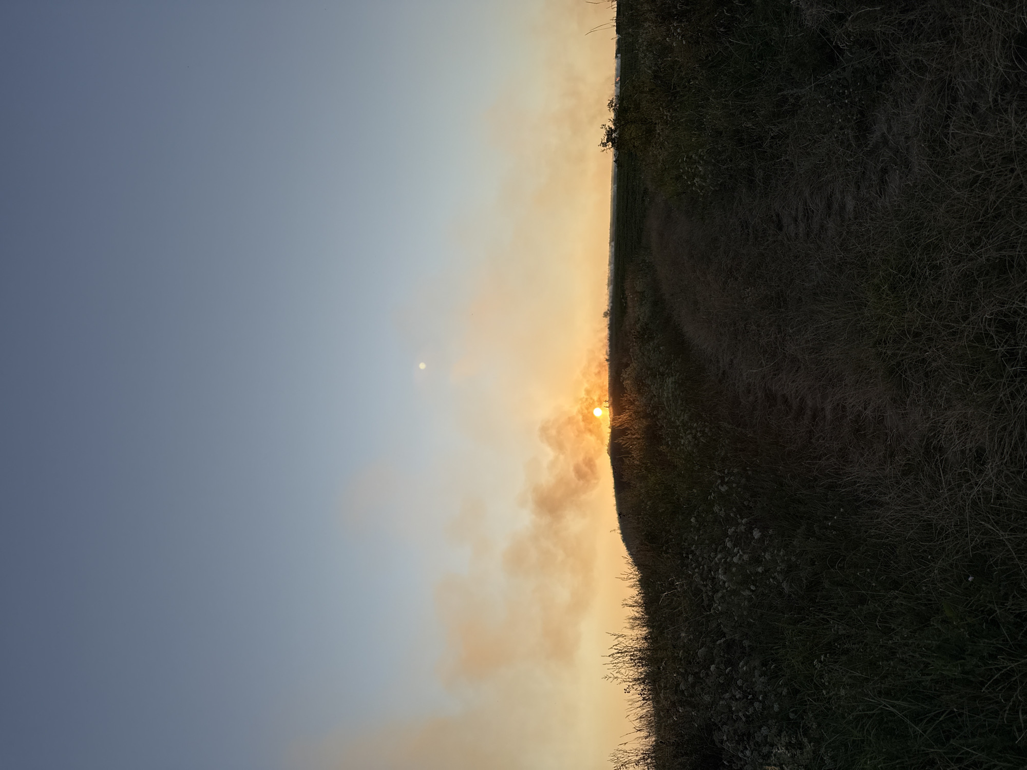 This image depicts a landscape at dusk, likely in a rural or undeveloped area given the prevalence of vegetation and the absence of urban structures. The sky is a clear, pale blue, transitioning to a warm orange hue near the horizon where the sun is setting. A large plume of smoke, colored orange and yellow, emanates from the ground on the left side of the image, obscuring part of the sunset. A faint, smaller circular object, possibly the moon or another celestial body, is visible in the upper left quadrant of the sky. The foreground is dominated by tall, dry grass and wildflowers, with a path or track leading towards the center of the image. The overall impression is one of a natural landscape, potentially affected by a fire or controlled burn, under a fading twilight sky. No people or specific structures are visible.