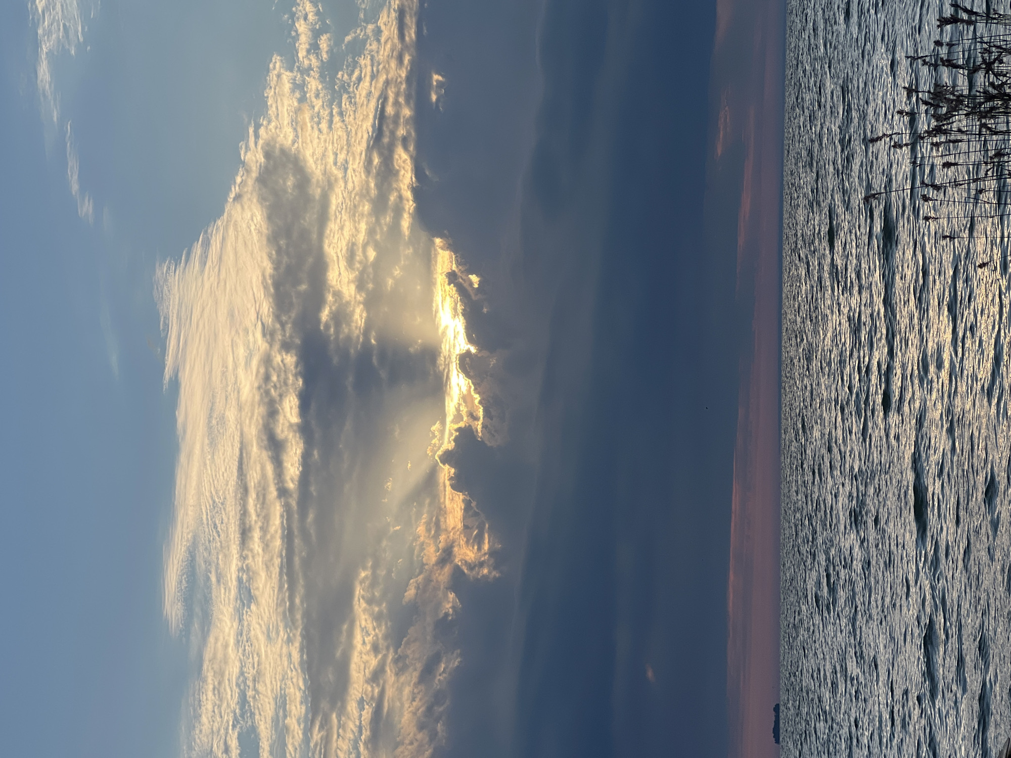 The image depicts a serene seascape at dusk, with the sun partially obscured by dramatic clouds. Shafts of golden light pierce through the clouds, illuminating the sky with a warm glow. The sea is a deep, rippling blue, reflecting the fading light and hinting at a tranquil, vast expanse. A distant cargo ship can be seen on the horizon, a solitary silhouette against the dusky sky. In the foreground, a cluster of dried reeds stands tall, their delicate forms silhouetted against the water, adding a touch of natural texture to the scene. The overall atmosphere is one of peaceful contemplation, as the day transitions into night.