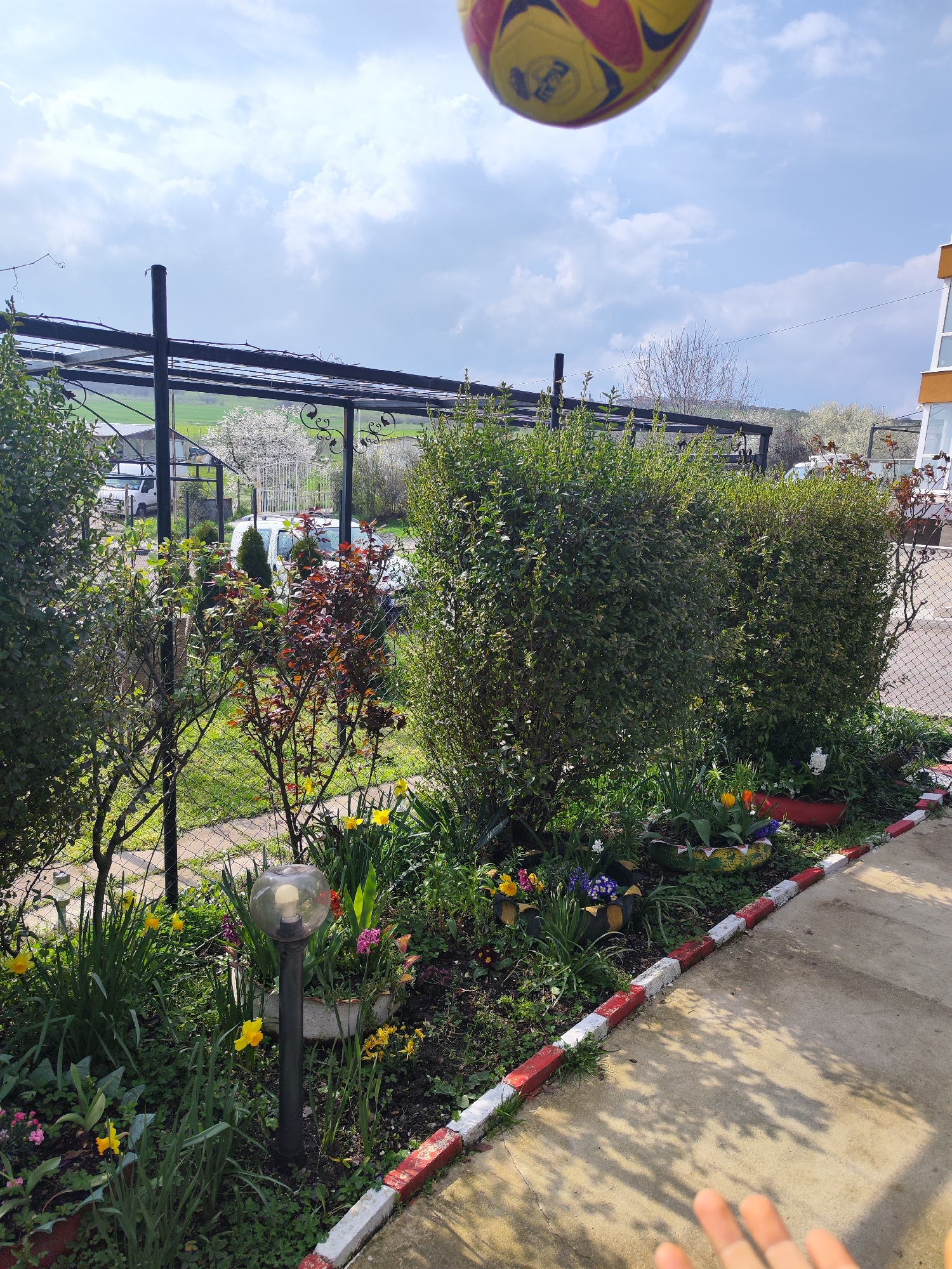 The image shows a garden scene, potentially in Burgas, Bulgaria. The foreground features a flowerbed with various plants, including daffodils and other colorful blossoms, bordered by red and white painted concrete edging. A black metal pergola structure is visible behind the flowerbed, with views of fields and a flowering tree in the distance. A white van is parked nearby. A yellow and red soccer ball is in the upper portion of the frame. A hand is visible in the lower right corner. The sky is partly cloudy.
