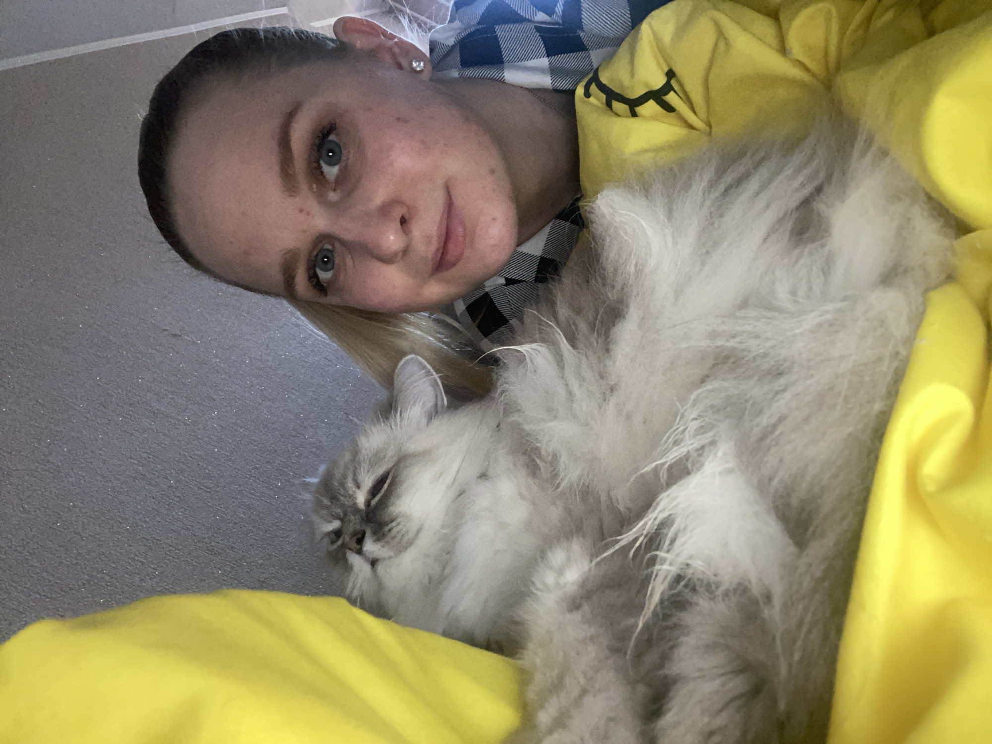 In a close-up, indoor selfie, a woman with blonde hair pulled back is nestled with a fluffy gray and white cat. The woman, positioned on the right side of the frame, has blue eyes, fair skin with some blemishes, and is wearing a blue and white checkered shirt and a diamond stud earring. The cat, to the left, is lying on its back, eyes closed and head tilted back, appearing relaxed. Both are surrounded by bright yellow fabric, possibly a blanket or bedding, which also has a black graphic pattern visible on the right. The background appears to be a textured gray wall. The scene is domestic and intimate.