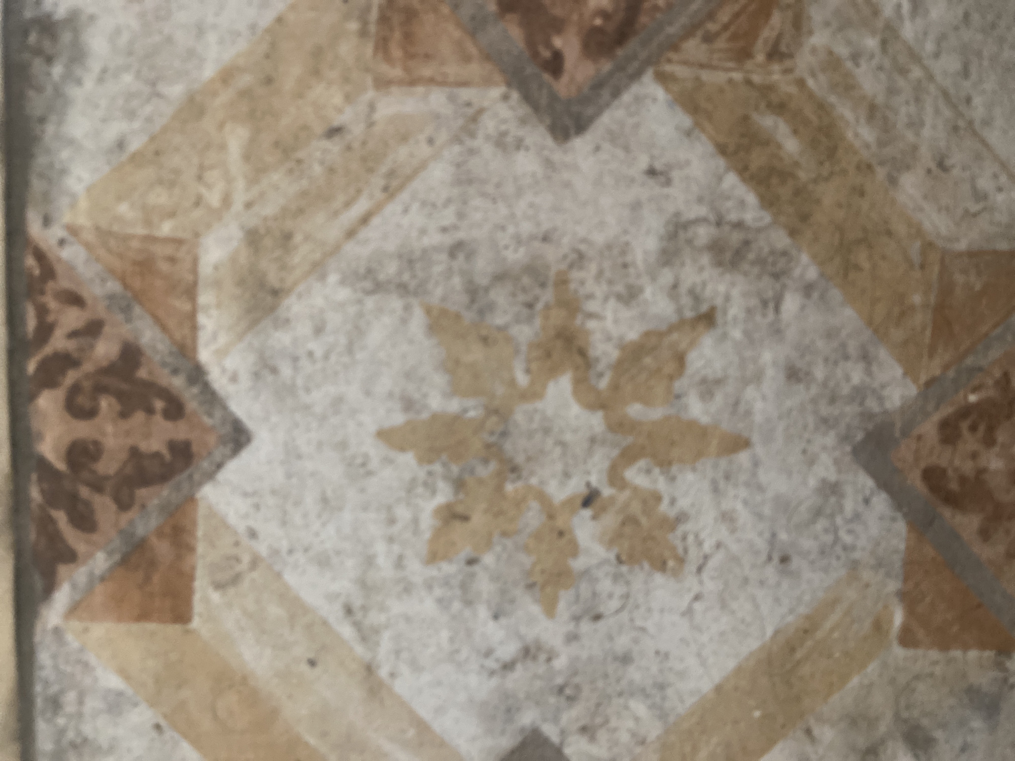 The image is a close-up, blurred, overhead shot of a tiled surface, likely a floor or wall. The tiles have a repeating geometric pattern with a central, stylized floral or star-like motif in a light brown color against a speckled light gray background. This central element is surrounded by diagonal bands of tan and darker brown, forming a diamond shape. In the corners of the frame, fragments of larger diamond shapes with a darker brown, ornate pattern are visible. The overall color palette is earthy and muted. There are no people or visible actions in the image. The location is stated as Unknown, Unknown.