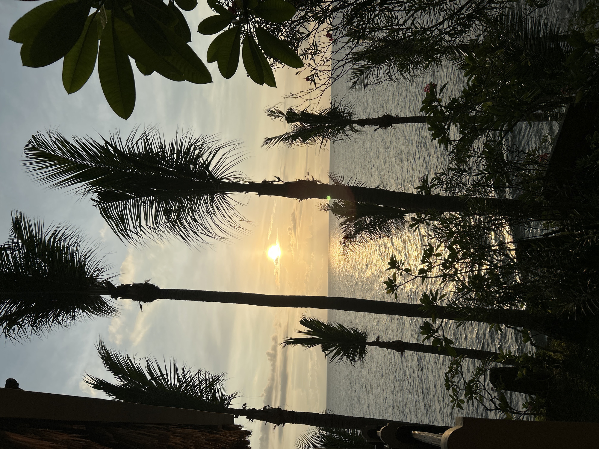 This photograph, taken in Senggigi, Indonesia, captures a sunset over the ocean. Silhouetted palm trees and other foliage frame the scene. The sun is positioned near the horizon, reflecting light across the water's surface. The sky displays variations in light and cloud cover. In the foreground, parts of buildings or structures are visible.