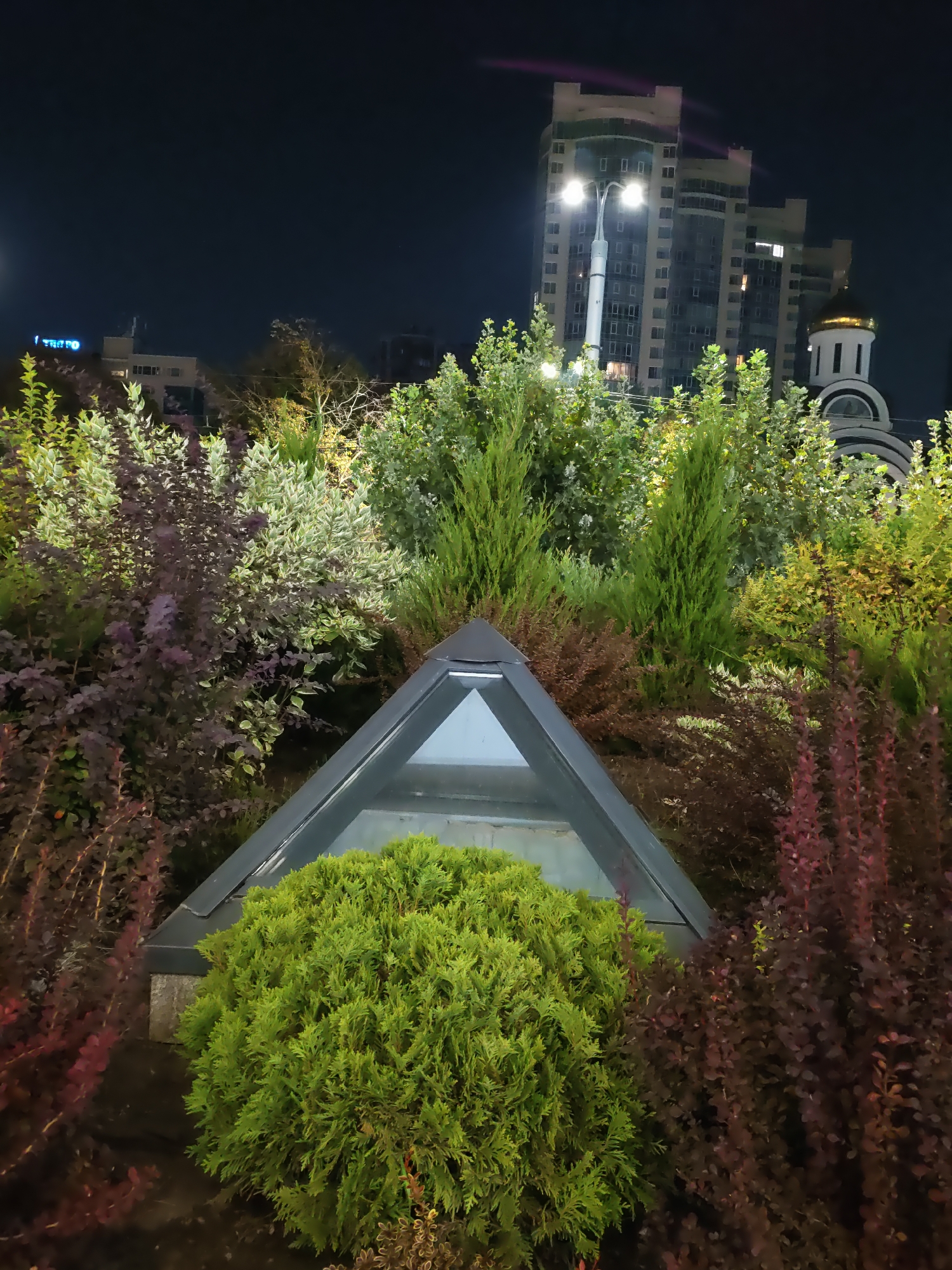 This image depicts an urban nighttime scene in Rostov-on-Don, Russia, focusing on a well-maintained landscape. In the foreground, a prominent triangular glass structure, possibly an entryway or skylight, is surrounded by lush greenery. To the left of the structure is a dense, spherical evergreen bush. To the right and behind, a variety of shrubs are visible, including those with deep red foliage and lighter green leaves. In the mid-ground, several conical evergreen trees stand tall.
The background reveals the city's architecture. A tall, modern residential building with numerous windows and balconies dominates the skyline, illuminated by streetlights. To the right of the residential building, a church with a golden dome is partially visible, suggesting a mixed-use urban environment. The sky is dark, indicating nighttime. No people or animals are present in the frame. The scene appears static and peaceful.