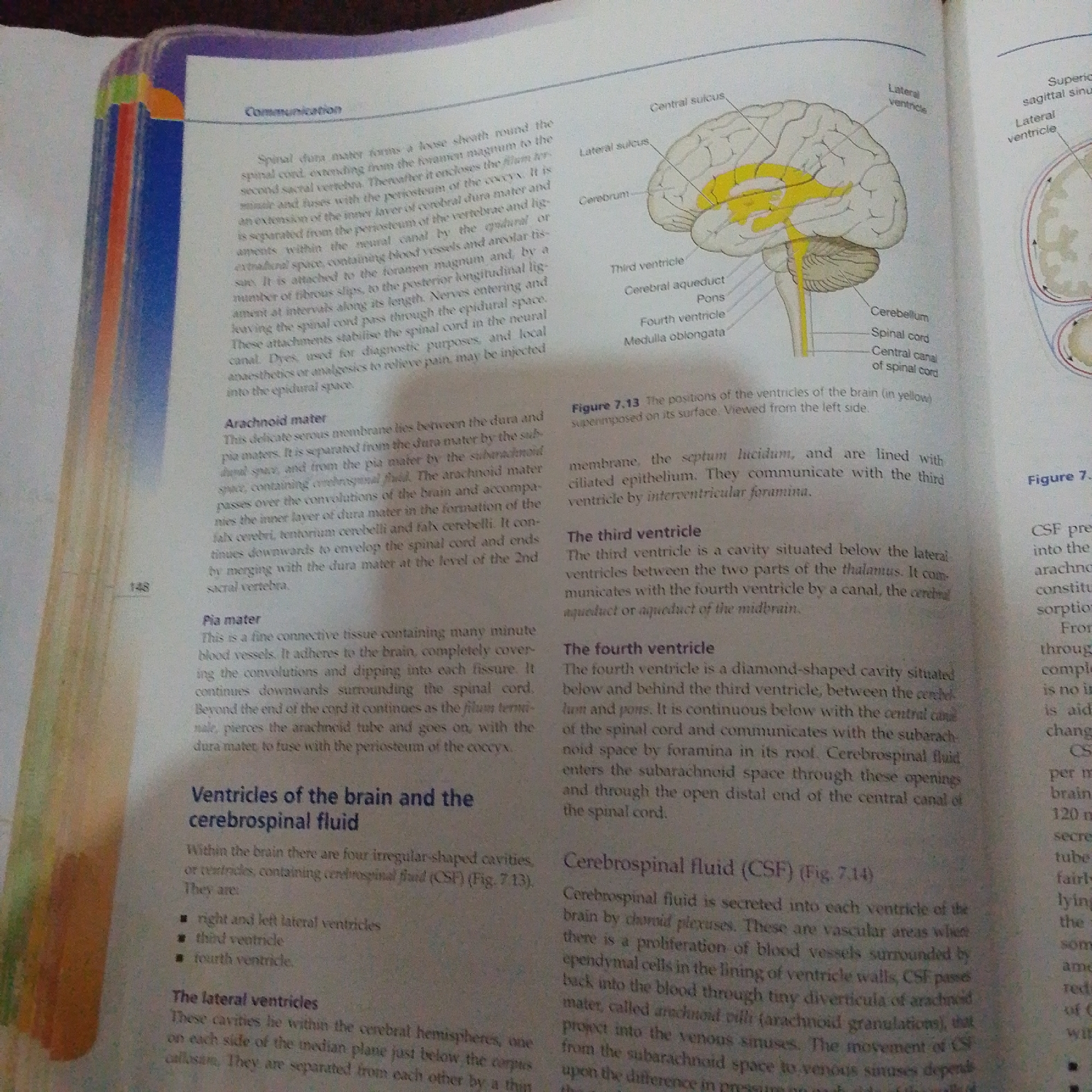 This media file is a photograph of an open textbook, displaying a page with printed text and illustrations. The primary subject is the educational content within the book, specifically focusing on the anatomy and physiology of the brain and spinal cord. The text covers the meninges (dura mater, arachnoid mater, and pia mater), the ventricles of the brain, and cerebrospinal fluid. There is also a detailed diagram of the human brain, colored yellow to highlight the ventricles, with various parts labeled such as the cerebrum, cerebellum, pons, and medulla oblongata. Another smaller diagram shows a cross-section of the brain with its cavities.
The setting is a flat surface, likely a table or desk, where the book is laid open. The lighting suggests an indoor environment, possibly during daytime. There are no people visible in the image. The notable details include the page number "148" printed on the left side of the page, and figure captions like "Figure 7.13" and "Figure 7.14". The overall tone is informative and academic. The context of Jalingo, Nigeria, is external information and not deducible from the image itself.