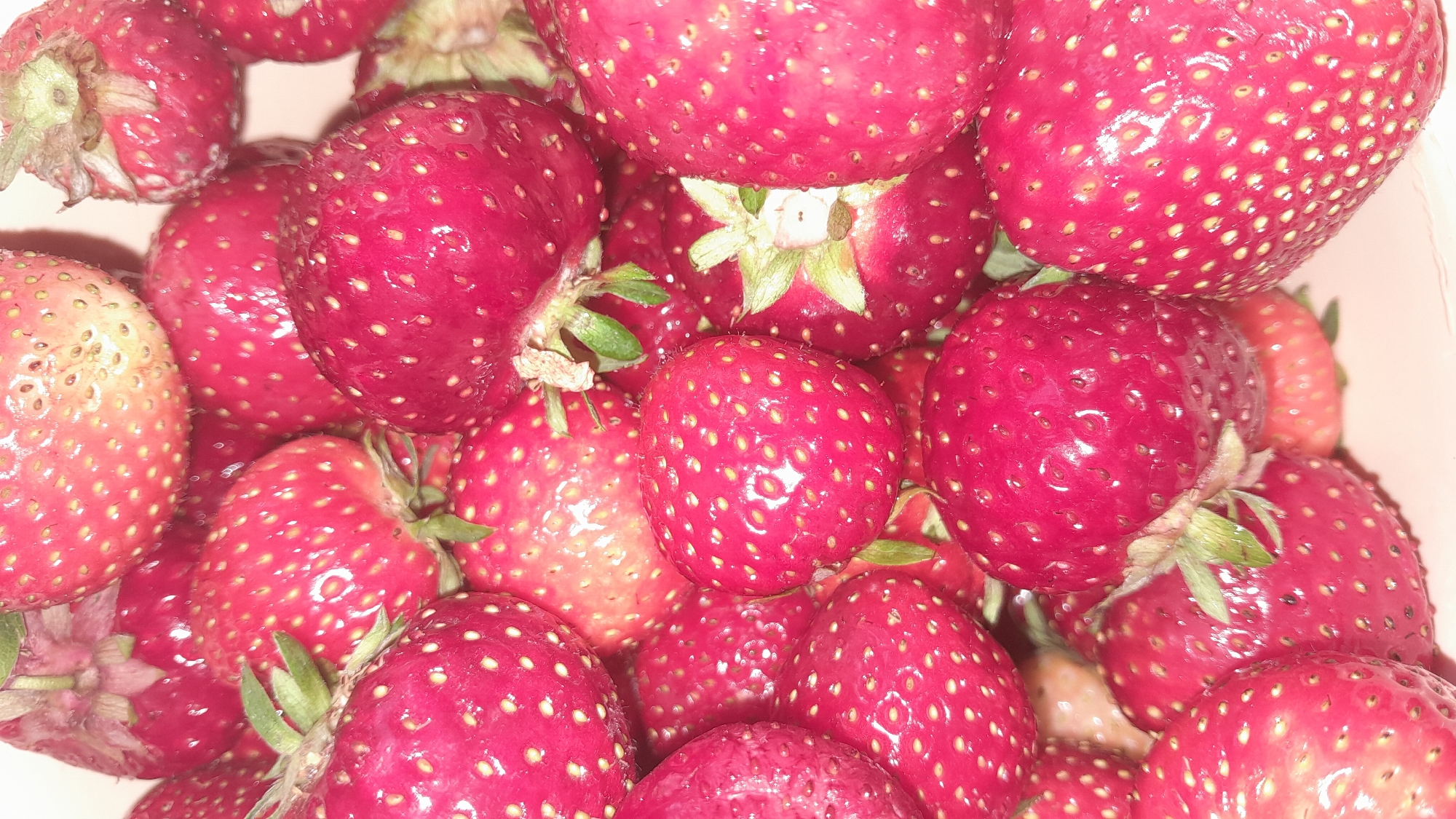 A close-up, vertical, full-frame shot shows a large pile of ripe strawberries. The strawberries are a deep red color with a slightly glossy sheen, and their numerous small, yellow seeds are clearly visible. Some of the strawberries have their green leafy tops attached. The lighting is bright, highlighting the texture and details of the fruit. The background is a soft, light pink, suggesting the strawberries are in a bowl or container.