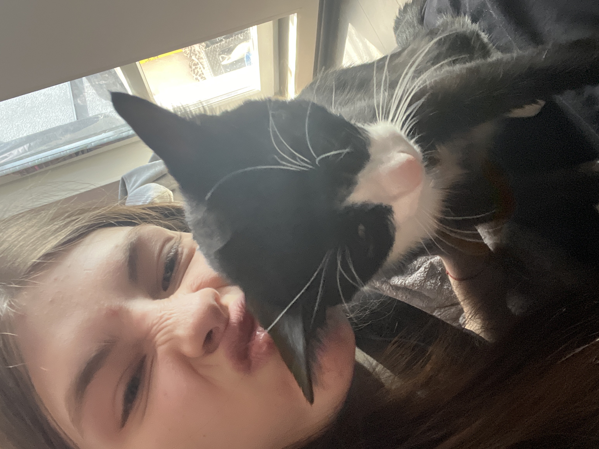 A close-up, candid indoor shot shows a young woman grimacing as a black and white cat nuzzles her face. The woman's face is contorted in a puckered expression, with her eyes squinting and her nose wrinkled. Her long, brown hair is visible around her face. The cat, predominantly black with white markings on its face and long white whiskers, is positioned with its head near the woman's mouth. The background includes a window, partially obscured, with hints of daylight and a glimpse of what appears to be an exterior setting. There is no indication of the location being Saint Petersburg, Russia.