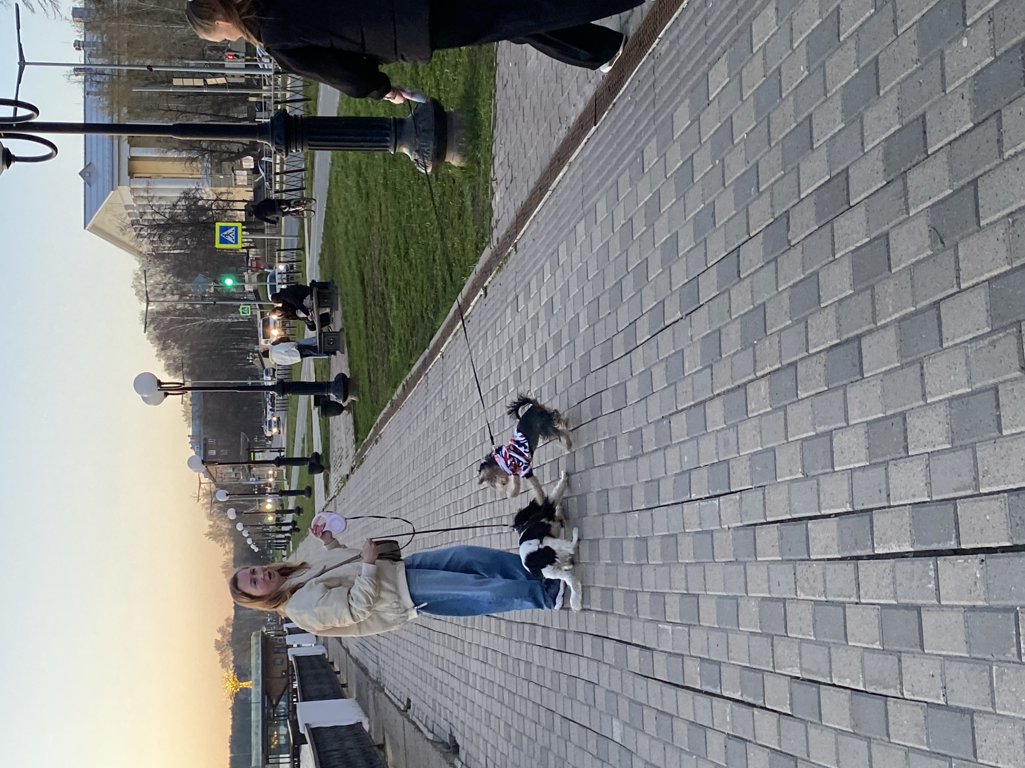 A photograph captures a scene along a walkway in Votkinsk, Russia, as indicated by the light poles which feature the city's coat of arms. A woman wearing a beige jacket and blue jeans is walking three small dogs on leashes. One dog wears a red, white, and blue outfit. A second individual wearing black clothing stands on the walkway further ahead. A grassy area is adjacent to the walkway, and there are street lamps lining the walkway. In the background, buildings and trees are visible under a sky that transitions from light orange near the horizon to a light blue. A road with a crosswalk sign is also visible in the distance. The walkway itself is paved with gray, rectangular blocks.