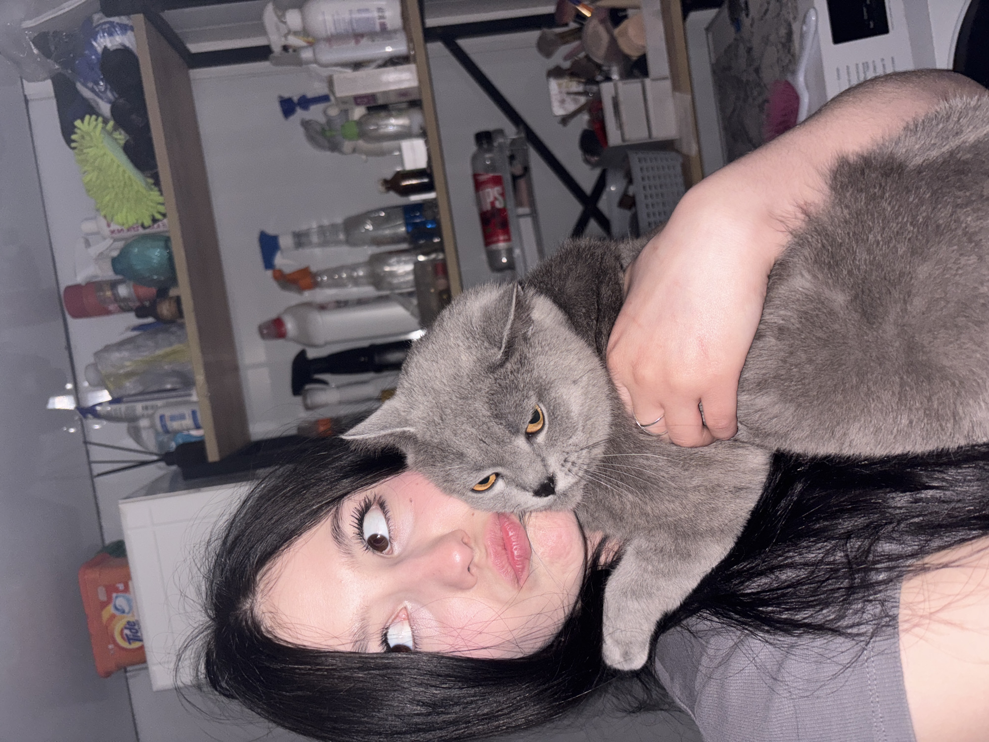 A young woman with long, dark hair lies on her back, face upward, partially obscured by a grey cat. Her eyes are wide, and her lips are pursed. A hand holds the cat in place. The background consists of shelves filled with various bottles and containers. The image's location and city cannot be determined by visual information.