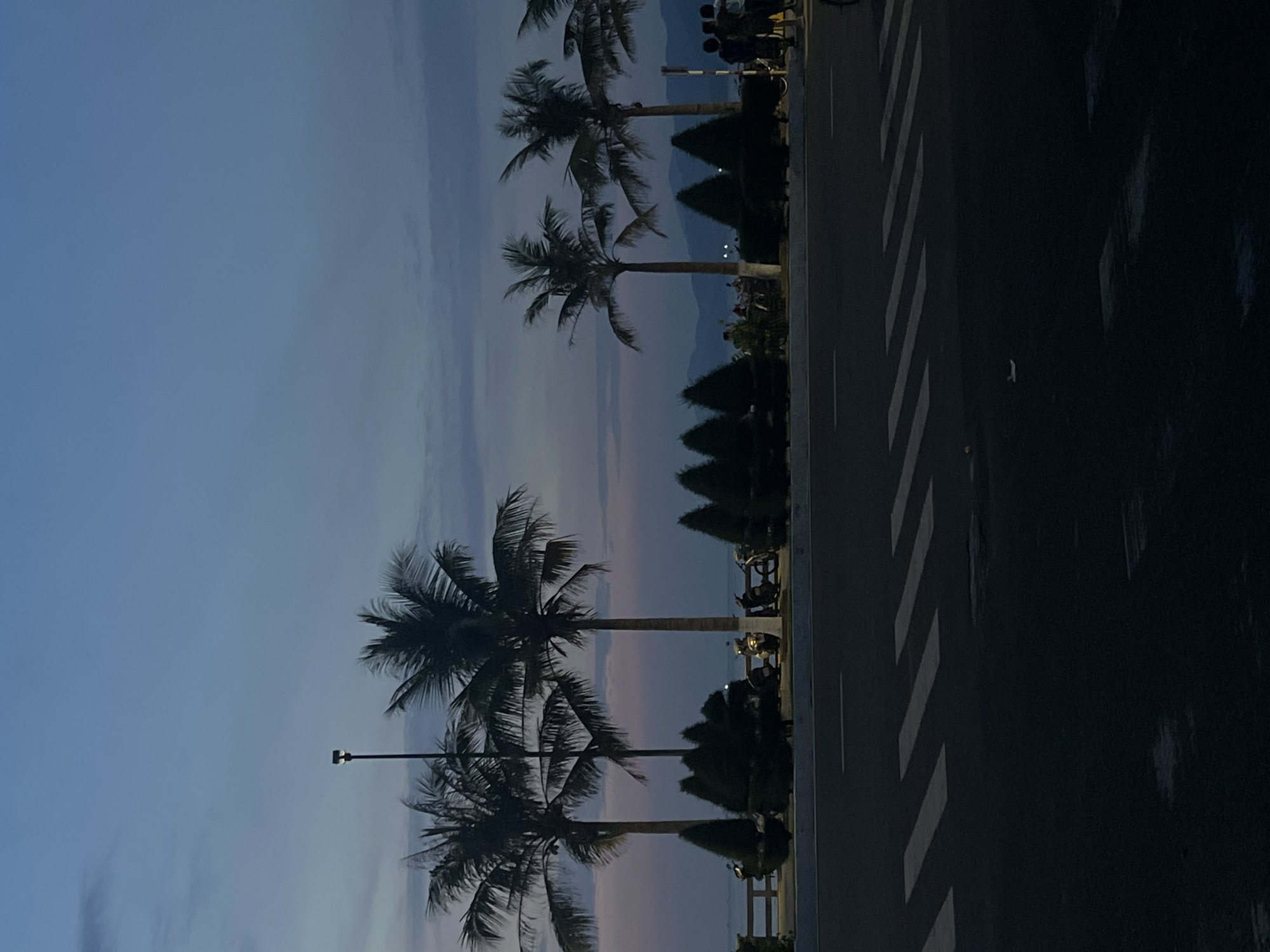 The image depicts a twilight scene along a coastal road in Bac Nha Trang Ward, Vietnam. The sky is a gradient of deep blue to soft purple, with faint clouds. In the foreground, a dark asphalt road features a prominent white pedestrian crossing. Beyond the road, a paved walkway is lined with several conical-shaped trees and a row of parked motorcycles. Towering palm trees with fronds silhouetted against the sky stand behind the trees. In the distance, a body of water is visible, leading to a hazy mountain range. A lamppost stands tall near the palm trees. A group of four people, appearing as dark figures, are standing on the right side of the walkway. The overall impression is of a serene evening ambiance.