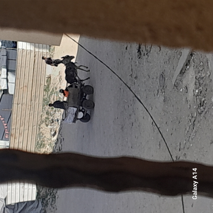 A man drives an ATV on a dirt road. A goat is strapped across the front of the vehicle with its head hanging down, and a chicken sits on the goat’s back. Buildings flank the road to the left, and a dirt area is to the right. A Galaxy A14 watermark is visible at the bottom right. The view is partially obscured by an out-of-focus object in the foreground.