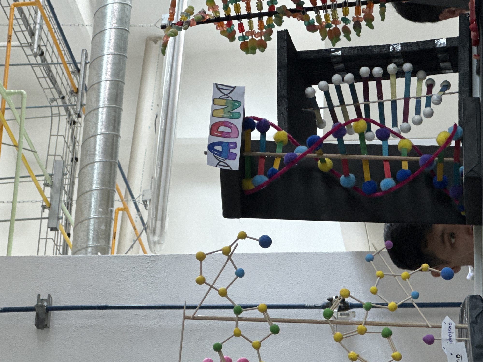 The image shows a science exhibit with models of DNA and molecules. The exhibit is placed in a room with exposed pipes and wiring, suggesting an industrial or educational setting. A sign with the word "ADNA" is prominently displayed. The models are constructed from colorful materials, including pom-poms, beads, and toothpicks. Parts of two individuals' faces are visible in the background. The environment appears to be indoors, with white walls and ceiling. Location: Unknown, Unknown.
