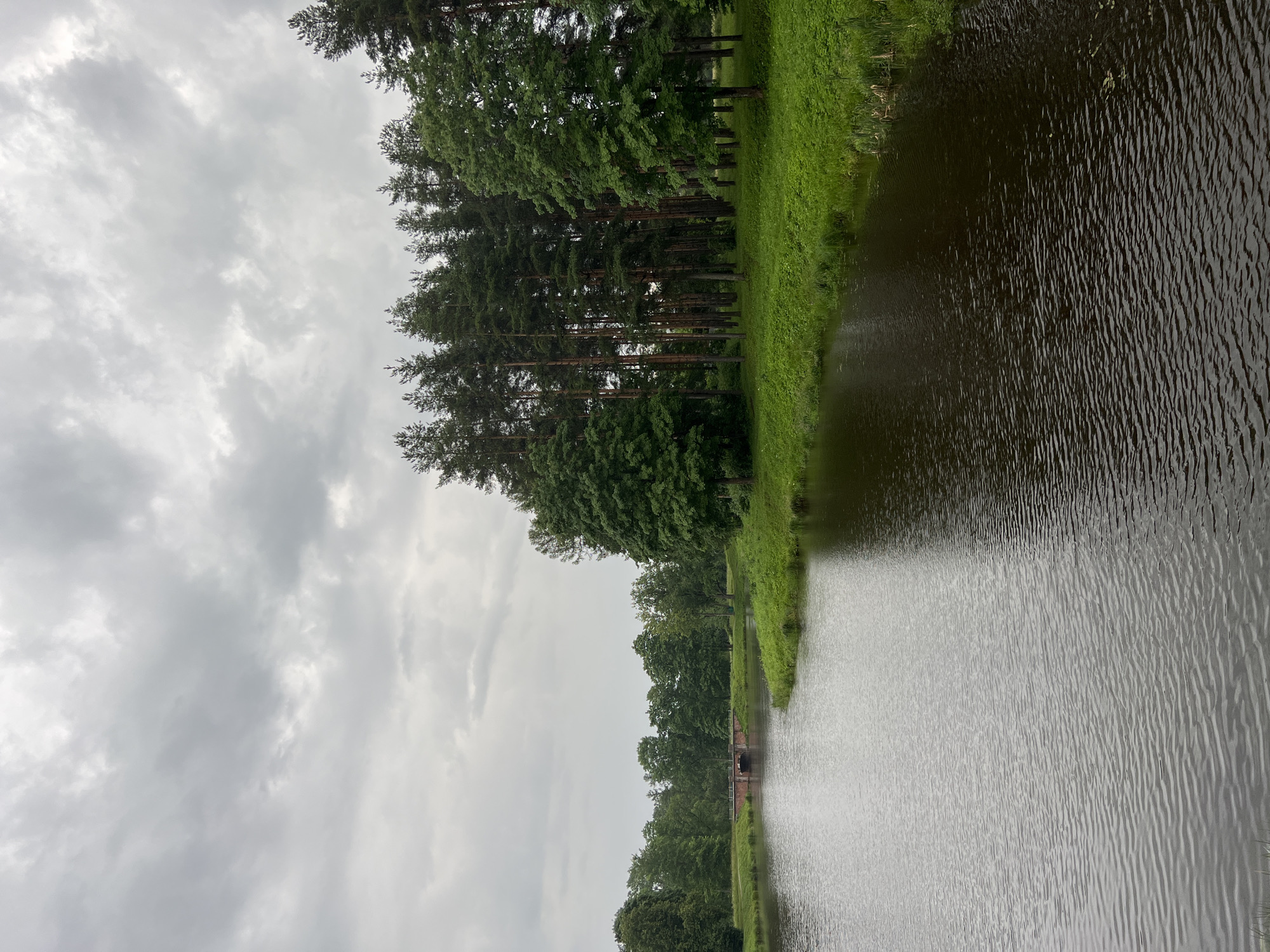 The image depicts a serene landscape scene at the Catherine Park in Pushkin, Russia. A calm, dark body of water occupies the foreground, with gentle ripples suggesting a slight breeze. The water's edge on the right is lined with lush green grass and reeds. Across the water, a red brick bridge arches over a narrow channel, with trees lining the opposite bank. To the right of the bridge, a dense forest of tall pine trees dominates the middle ground, with a few deciduous trees interspersed. The sky is overcast with a layer of gray clouds. The overall impression is one of a tranquil, natural setting within a historical park.