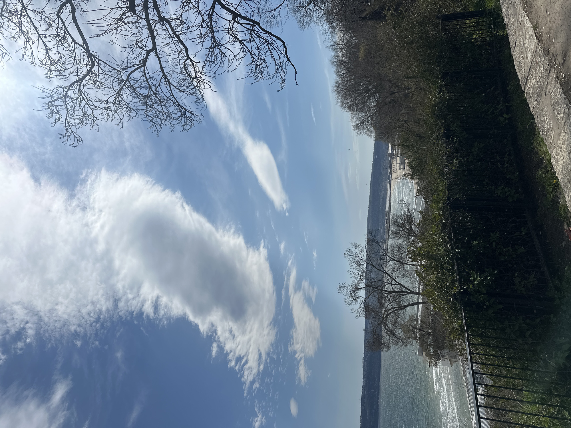 This daytime photograph, taken in Varna, Bulgaria, captures a bright scenic view overlooking a large body of water, likely the Black Sea. The image is oriented vertically (when viewed as originally presented), with the sky occupying the upper and left portions, and the water and land features on the right and lower sections.
The sky is a vibrant blue, adorned with scattered white clouds of varying densities, ranging from wispy cirrus to more substantial cumulus formations. Bright sunlight streams from the upper left, partially obscured by the intricate network of bare, dark branches of a deciduous tree that frames the top left of the shot. These branches, devoid of leaves, suggest either late autumn, winter, or early spring.
The middle ground of the scene features a wide expanse of sparkling water, reflecting the sunlight in numerous shimmering patches. A distant, low-lying coastline or landmass stretches horizontally across the horizon on the far side of the water.
In the foreground, along the right edge of the frame, a textured, light-colored paved path or sidewalk is visible. Adjacent to the path, a dark metal fence runs parallel, separating the path from a slope covered with sparse green bushes and several trees, which also appear to be mostly bare-branched. One distinct tree with intricate bare branches extends prominently from the mid-right, silhouetted against the bright water.
There are no people or discernible activities taking place, and no visible text is present. The overall impression is one of a serene and clear day.