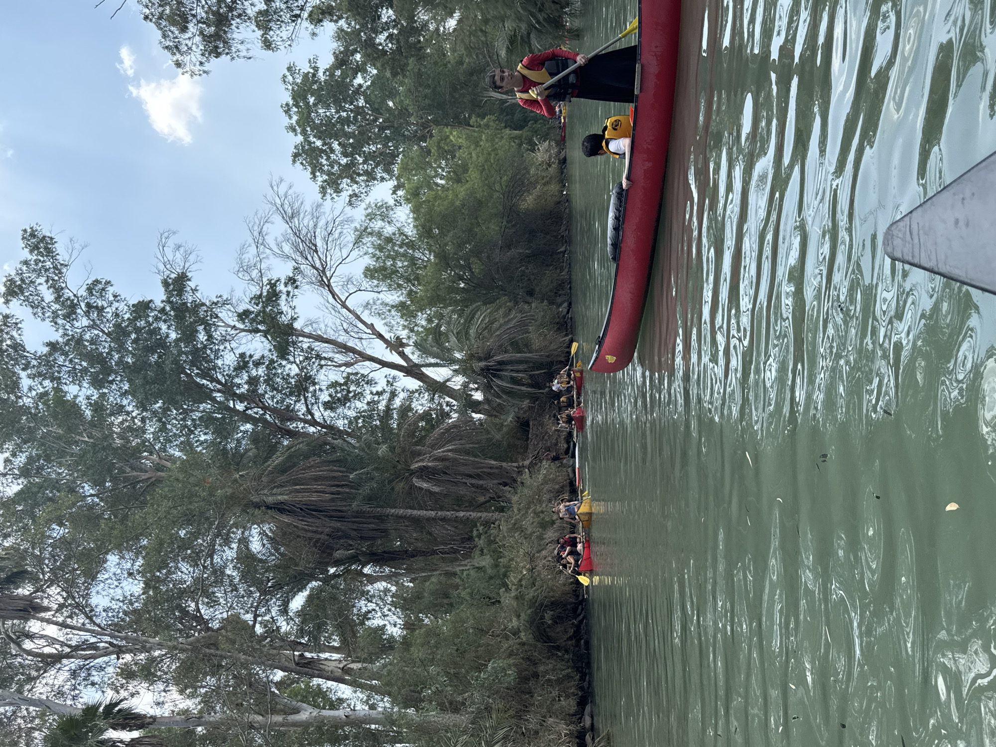 This image depicts a group of people kayaking on a river in the Emek HaYarden Regional Council, Israel. The river is a calm, green body of water with ripples and some floating debris. Dense vegetation, including palm trees and other leafy trees, lines the riverbanks, creating a lush and somewhat wild environment. The sky is partly cloudy, with a bright blue hue.

In the foreground, a red canoe is prominent. A young woman wearing a red shirt and a yellow life vest stands at the back of the canoe, holding a paddle. Beside her, a young boy in a yellow life vest sits in the canoe.

Further down the river, several other canoes are visible. One canoe, also red, has two people paddling. Another canoe, yellow, has at least three people. A third canoe, red, has two people paddling. In the distance, more canoes and people can be seen further up the river. The overall scene suggests a recreational activity taking place in a natural setting.
