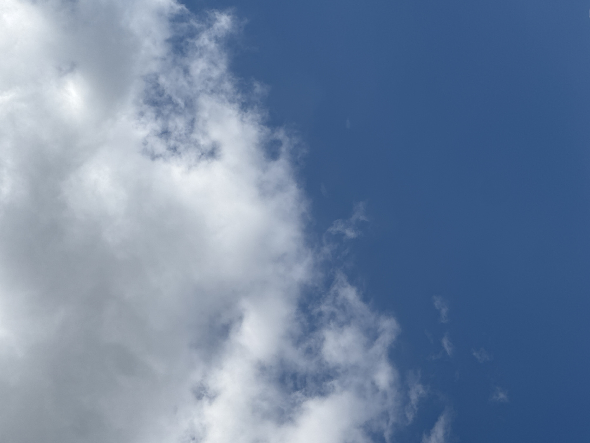 This media file is a photograph of a blue sky filled with white and gray clouds. The clouds are dense on the left side of the image and become more scattered towards the right. The overall impression is that of a partly cloudy day. The bright blue of the sky suggests daylight. There are no people, objects, or specific location cues visible, other than the sky itself. The setting is outdoors, with no discernible man-made structures or natural landmarks. The image is dominated by the contrast between the white and gray clouds and the deep blue of the sky. The clouds vary in opacity, with some appearing wispy and translucent, while others are more solid and opaque, casting shadows that create variations in tone and texture.