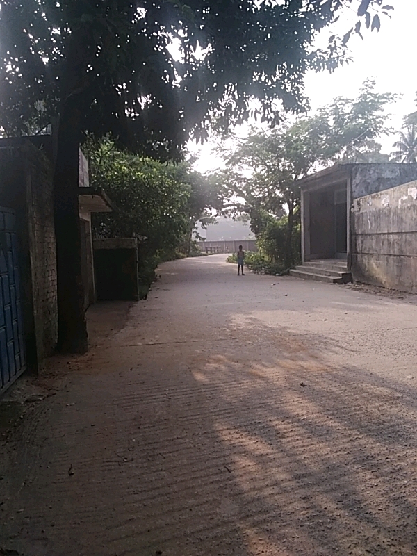 The image depicts a street scene in a village or rural area of Cox's Bazar District, Bangladesh. The foreground shows a paved road with distinct parallel ridges, likely indicating textured concrete. Shadows of trees cast long, dappled patterns across the road, suggesting it is late afternoon or early morning.
On the left side of the road, a dark-colored building with a blue metal gate is visible. Adjacent to it, a thick tree trunk stands tall, with dense foliage overhead. Further down the road, on the right side, is a low-lying concrete building with a covered entrance.
In the mid-ground, a lone, young boy, wearing dark clothing, stands on the road facing away from the camera. He appears to be walking or standing still. Beyond him, the road curves slightly, and the scene is framed by lush greenery and trees. The overall atmosphere is tranquil and rural, characteristic of many areas in Cox's Bazar District.