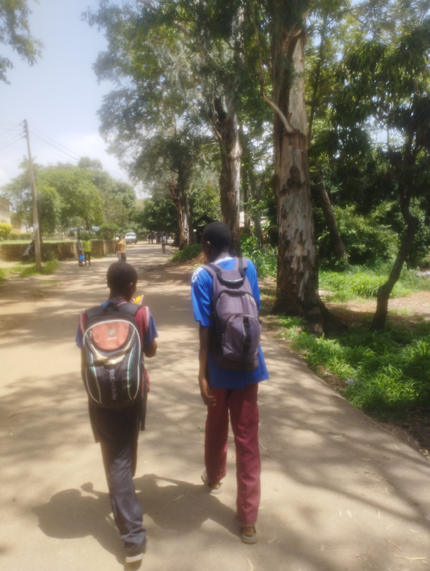 In this media file, two young individuals are walking away from the camera on a dirt road. They appear to be students, as both are wearing backpacks. The person in the foreground has a backpack with orange, black, and white accents and is wearing a blue shirt. The person behind them is wearing a blue shirt and a grey backpack. They are walking in a path lined with tall trees on the right and some buildings and greenery on the left. The sun is bright, suggesting it is daytime, and the weather appears to be clear. The overall scene evokes a sense of everyday life and movement. There are other people and vehicles in the background, indicating a populated area, possibly a street or path leading to a school. The image has a slightly blurred quality, which is consistent with the overall visual style. No visible text is legible.