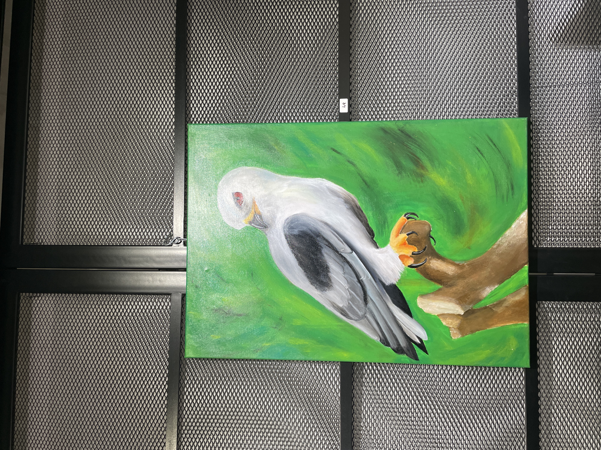 A painting of a bird of prey, likely an elanus caeruleus (black-winged kite), perched on a branch. The bird has white and gray plumage, a red eye, and is painted on a green background. The branch is brown. The painting is hanging on a metal grid-like structure with black framing. The location is not discernible from the image. There is no evidence suggesting the location is in Plovdiv, Bulgaria.