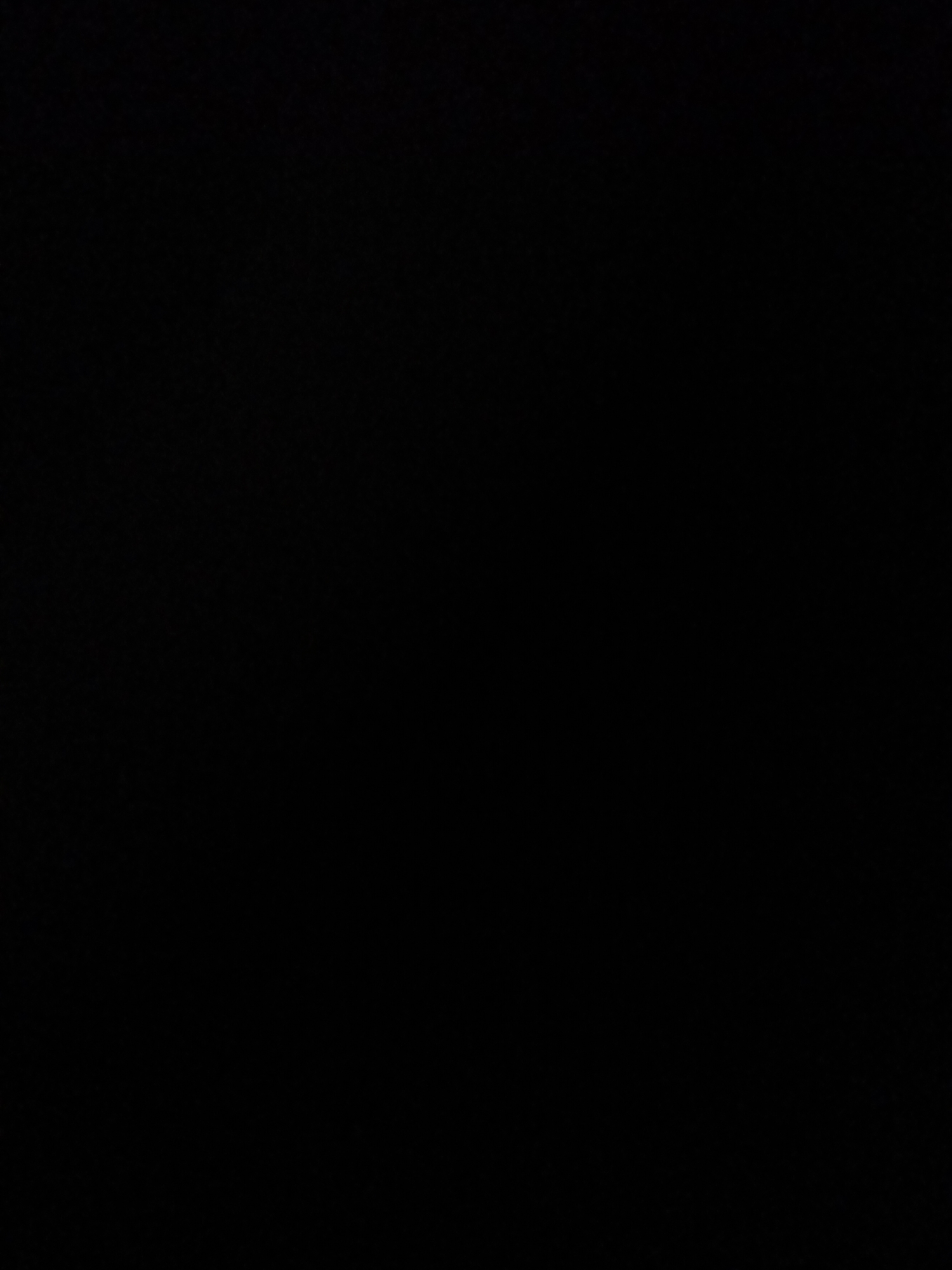 The image provided is completely black and contains no discernible subjects, objects, scene, or activity. Therefore, no description can be generated regarding people, objects, setting, activity, notable details, or visible text.