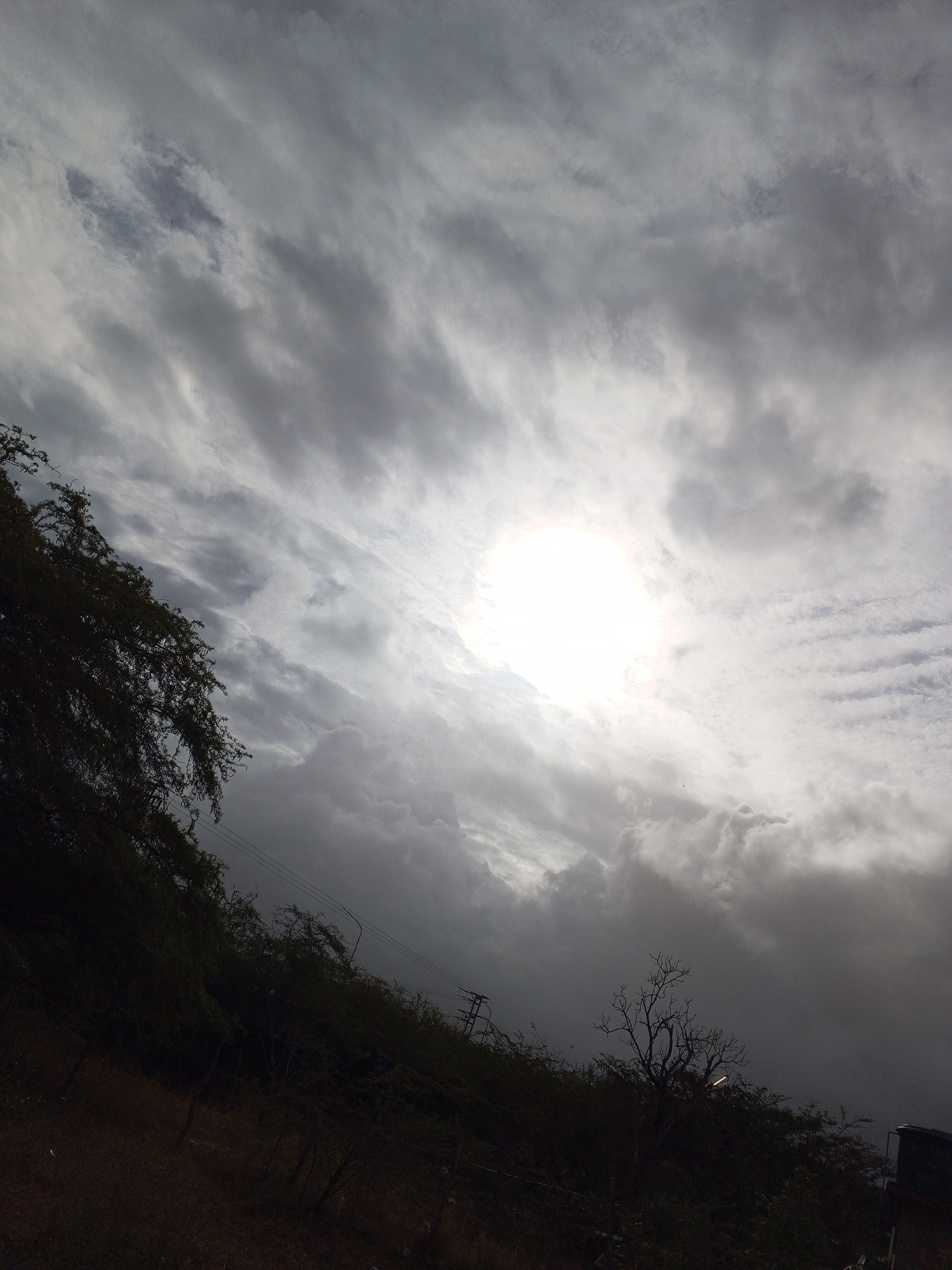 The image captures a dramatic sky filled with varying cloud formations, with the sun breaking through intensely. The scene is dominated by a heavily clouded sky, ranging from bright white and wispy cirrus-like clouds near the sun to darker, denser grey clouds across the rest of the frame.
The sun, positioned in the upper right quadrant, appears as an intensely bright, overexposed white circle, creating a strong halo effect and illuminating the surrounding clouds. This suggests either midday or late morning/early afternoon, with sunlight piercing through a substantial cloud layer.
In the lower left and stretching across the bottom, dark silhouettes of dense vegetation, primarily trees and bushes, frame the scene. Their dark appearance is due to being backlit by the bright sky. Some bare, gnarled tree branches are visible towards the lower right, contrasting with the fuller foliage. Power lines and utility poles are faintly discernible amidst the vegetation in the lower middle and right, indicating the presence of human infrastructure in the landscape.
The overall impression is one of impending weather, possibly a break in an overcast sky or the dramatic appearance of the sun amidst developing cloud cover. The composition has a slight diagonal tilt, adding to the dynamic feel of the sky. No human figures or discernible text are visible.
