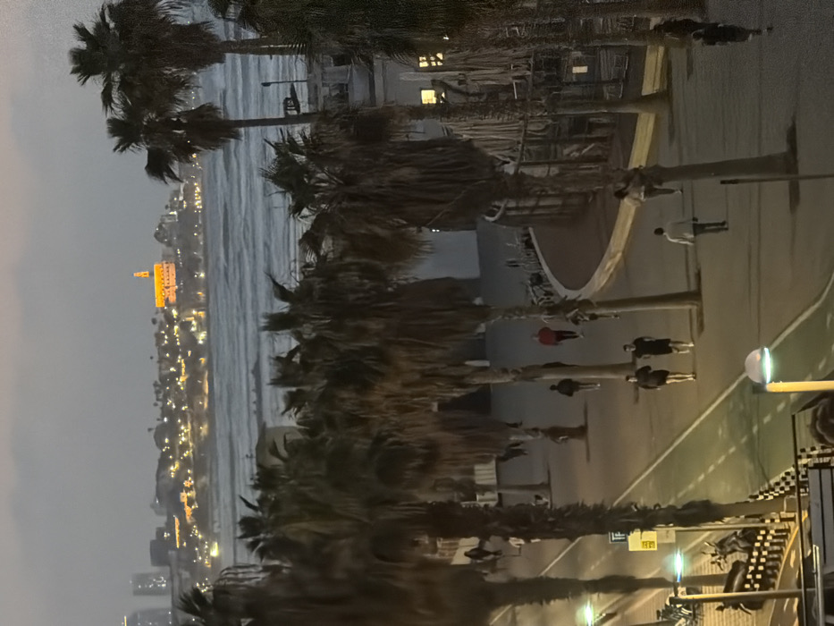 This image captures a twilight or night scene along the Tel-Aviv promenade in Israel, looking south-southwest towards Old Jaffa. The foreground features a wide promenade, well-lit by modern streetlights emitting a yellowish-green glow. It includes a distinct green-striped lane, likely for cycling, and adjacent pedestrian paths. Numerous tall palm trees with dark, dense fronds line the promenade, casting shadows.
Approximately 10-12 individuals are visible on the promenade. Two males are jogging in tandem in the mid-left portion of the path, both wearing dark athletic attire. Other individuals are walking at various points; one person in a red top is visible further up the promenade, and another individual is running away from the viewer on the right side. On the far left, a scooter or motorcycle is parked near a lamppost.
To the right of the promenade, beyond a barrier, lies a dark beach area. The Mediterranean Sea is active with discernible white-capped waves, indicating rough water conditions. In the distant background, Old Jaffa is prominently illuminated on a hillside, dominated by a large, distinctive building with a tall spire, identified as a significant structure, likely St. Peter's Church. Further left along the horizon, other distant city lights and modern high-rise buildings of Tel-Aviv are faintly visible against the dark sky. The sky above is overcast or experiencing heavy cloud cover.