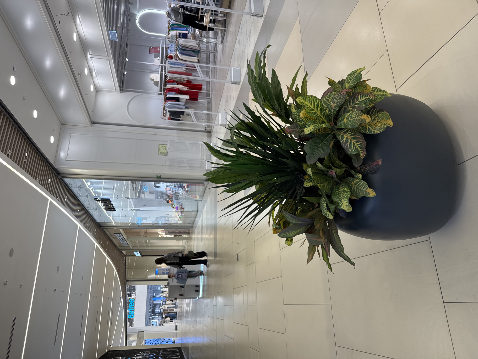 The image shows an indoor scene in a modern shopping mall, likely in Saint Petersburg, Russia. The perspective is an elevated, slightly off-center shot.
**Foreground:**
A large, dark-colored, round planter dominates the right side of the image. The planter contains two types of plants: tall, dark green, linear leaves resembling palm fronds, and a croton plant with variegated yellow, green, and red leaves.
**Midground:**
The floor is composed of large, light-colored tiles arranged in a grid pattern. A shopping mall corridor extends into the distance. Two individuals are walking away from the camera in the center of the corridor.
**Background:**
Shops line the left and right sides of the corridor. The shops on the left have glass storefronts. The shops on the right appear to be clothing stores with visible clothing racks. The mall's ceiling is white, with recessed lighting and modern design elements.