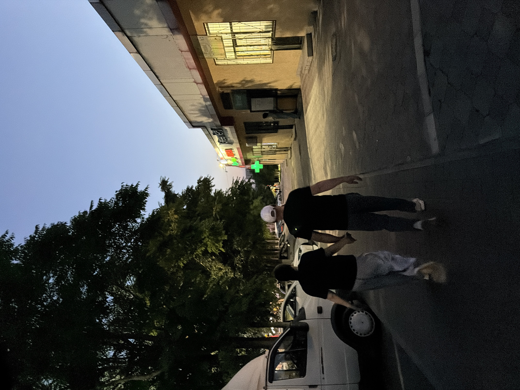 The image depicts a street scene in Shymkent, Kazakhstan, during dusk. Two individuals are visible. The person in the foreground, facing away from the camera, is wearing a black t-shirt and light-colored pants. They appear to be walking or standing. Behind them, another person, also in a black t-shirt and dark pants, is seen from the waist down, walking.
The setting includes a building with a facade that has windows and some signage. A bright green cross, commonly associated with pharmacies, is prominently displayed on the building. Trees line the street, casting shadows. A white van or truck is parked in the foreground, partially obscuring the view. The sky is a soft blue, indicating the transition from day to night. The overall atmosphere is casual and suggests an evening outing in an urban environment. No specific emotions are clearly discernible due to the lighting and the subjects' orientations. The visible text includes Cyrillic lettering on the building's signage, but it is not clear enough to be fully deciphered.