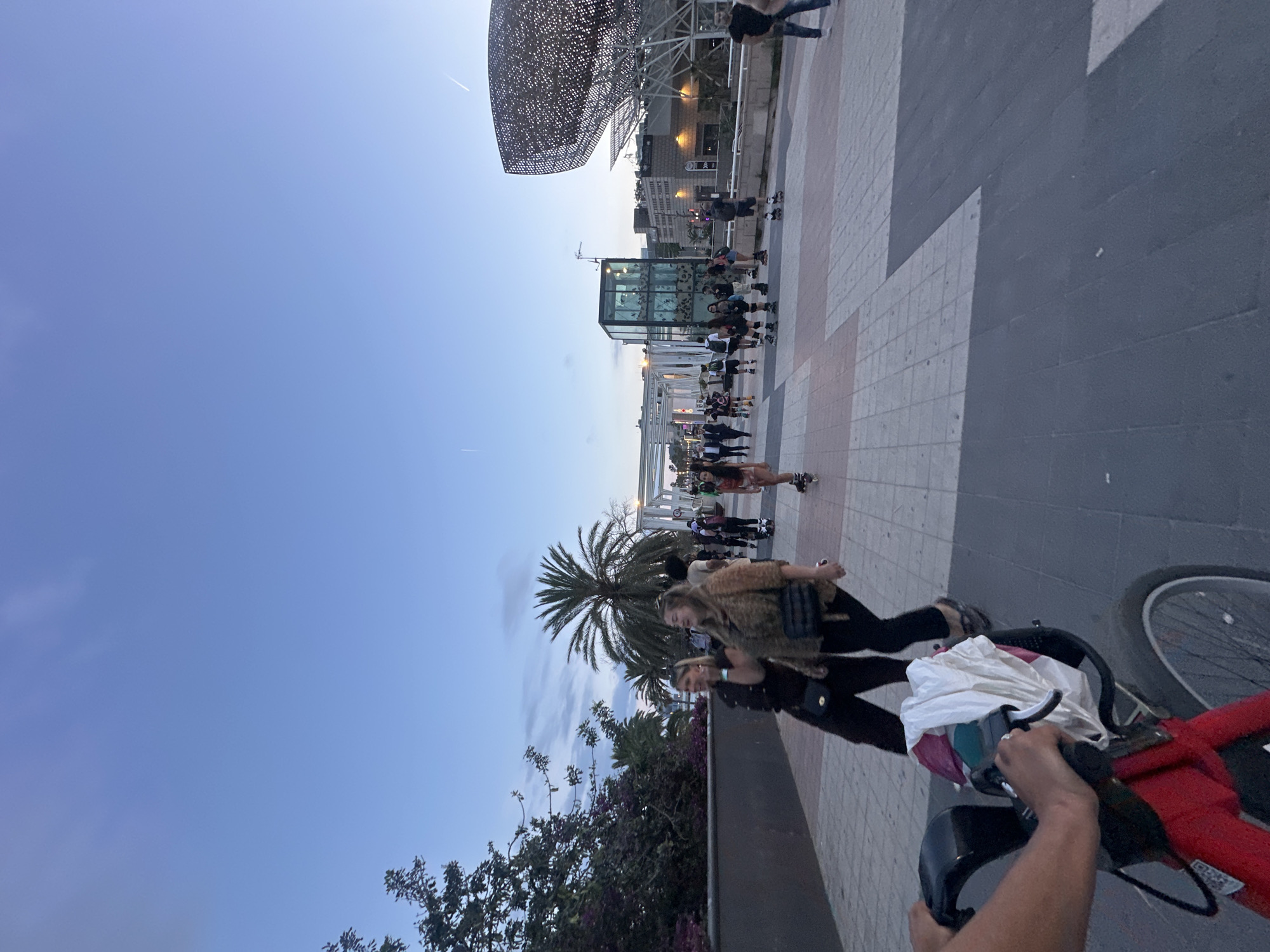This is a vertical, eye-level, outdoor shot of the Port Olímpic area in Barcelona, Spain, at dusk. The sky is a pale blue with faint white clouds and two faint contrails. In the foreground, a person's arms and hands are visible, holding the handlebars of a red bicycle with a white plastic bag strapped to the handlebars.
The middle ground features a wide pedestrian walkway paved with large, square tiles in shades of gray, beige, and white. To the left, a low, dark gray concrete wall lines the walkway, topped with dense, green foliage and some pink flowers. A tall palm tree stands behind this wall.
Further back, a group of people are rollerblading on the walkway. Two women in the foreground are walking, one wearing a black top and pants, the other a leopard-print top and black pants, both carrying black purses. Behind them, more people are visible on rollerblades, including a man in a suit.
The background showcases modern architecture. To the right, a large, sculptural, fish-shaped metal structure, the "Peix" (Fish) by Frank Gehry, is prominent. To the left of the fish structure is a building with a glass-enclosed upper floor and a dark facade. A covered walkway with white metal pillars and a white roof stretches across the middle ground. The overall atmosphere is casual and active, with people enjoying the evening.