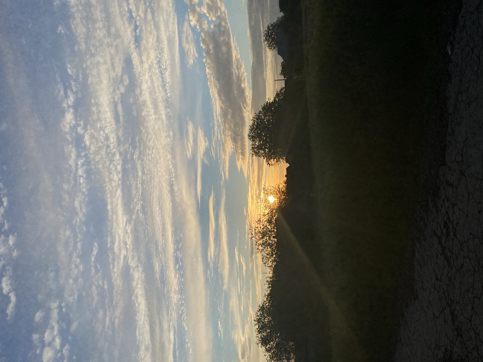 The image depicts a landscape at sunset in an unknown location. The sky is filled with altocumulus clouds that are elongated horizontally. The setting sun is partially obscured by trees, casting a bright glow and long shadows across the scene. A paved surface, potentially a road or path, is visible in the foreground.