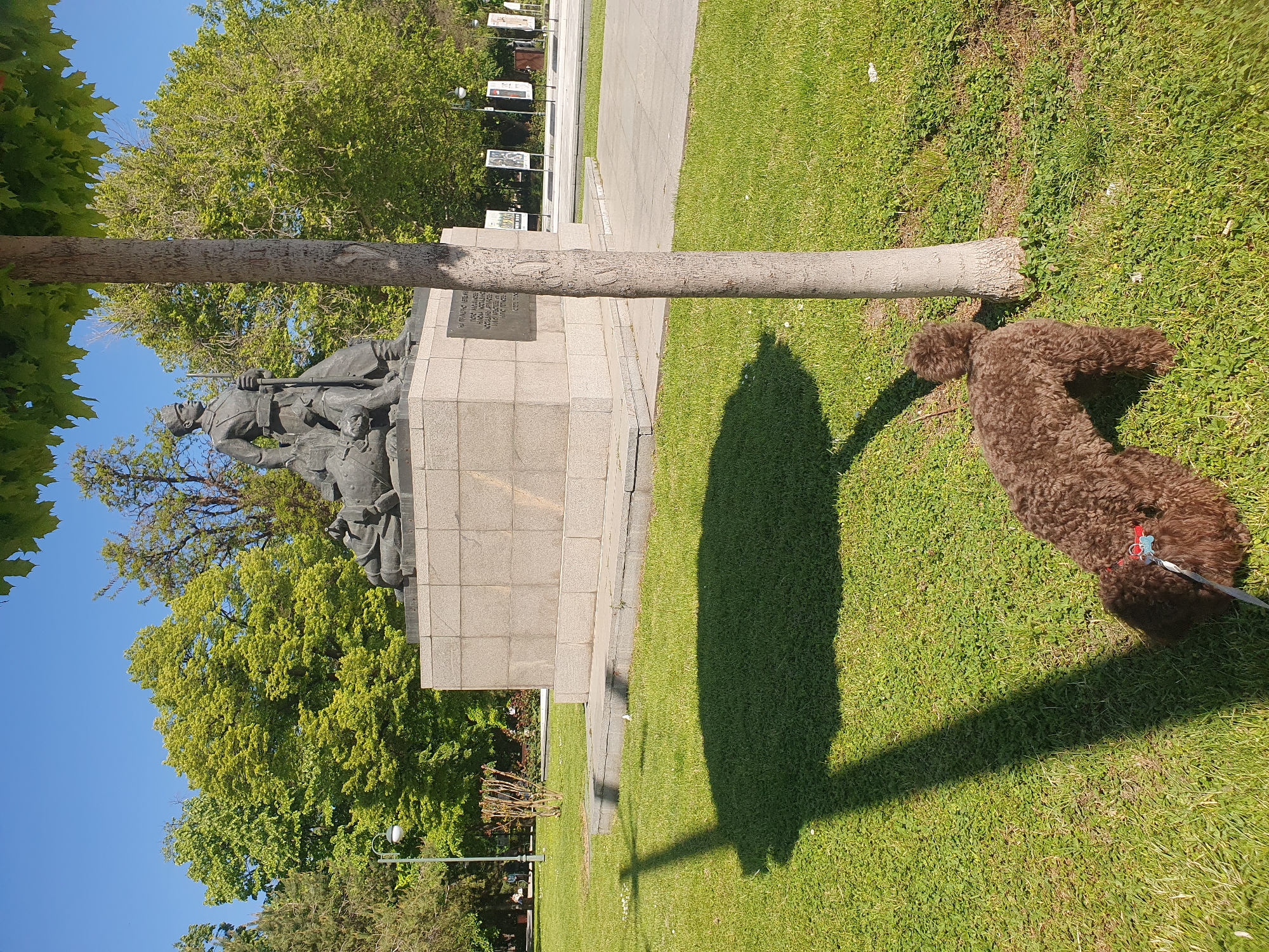 A statue of soldiers stands on a light-colored stone pedestal, with green trees in the background and a clear blue sky above. In front of the statue is a tree trunk lying horizontally across the grass. Beside the tree trunk is a brown poodle dog standing on the green grass. The statue is likely located in Plovdiv, Bulgaria, given the context. A shadow stretches from the tree towards the dog. A leash is attached to the dog.