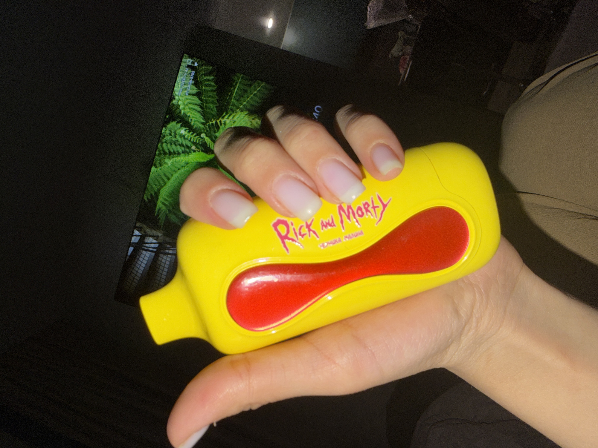 A person's left hand holds a yellow plastic container with red accents, labeled "Rick and Morty" in pink text. The container is positioned against a dark background where the corner of a screen displays an image of green ferns. Part of a person's khaki-colored clothing is visible at the right edge of the frame. The location is not apparent from the given image.
