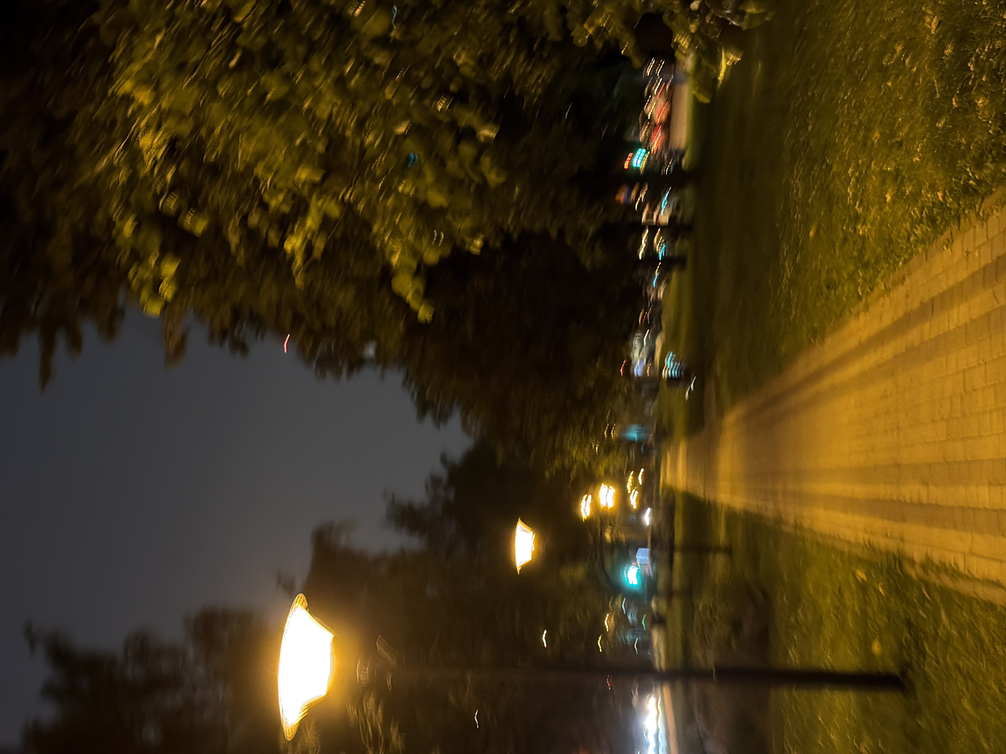 The image captures a dimly lit park pathway at night, with motion blur suggesting movement. A lamppost illuminates the foreground, casting a warm glow on the paved path and the surrounding grass. Trees with dense foliage are visible on either side, their leaves blurred by the motion. In the background, other streetlights and the headlights of passing vehicles create streaks of light, indicating a road adjacent to the park. The overall scene is characteristic of an urban park in Moscow, Russia, during the evening hours.