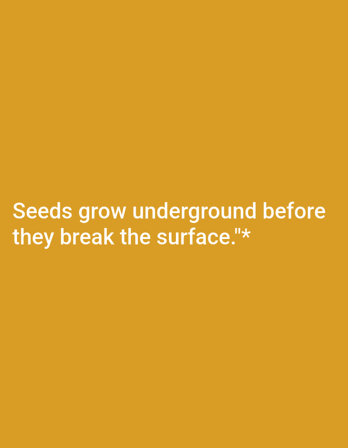 The image is a photograph with a solid orange background. White text is overlaid on the image, reading "Seeds grow underground before they break the surface."