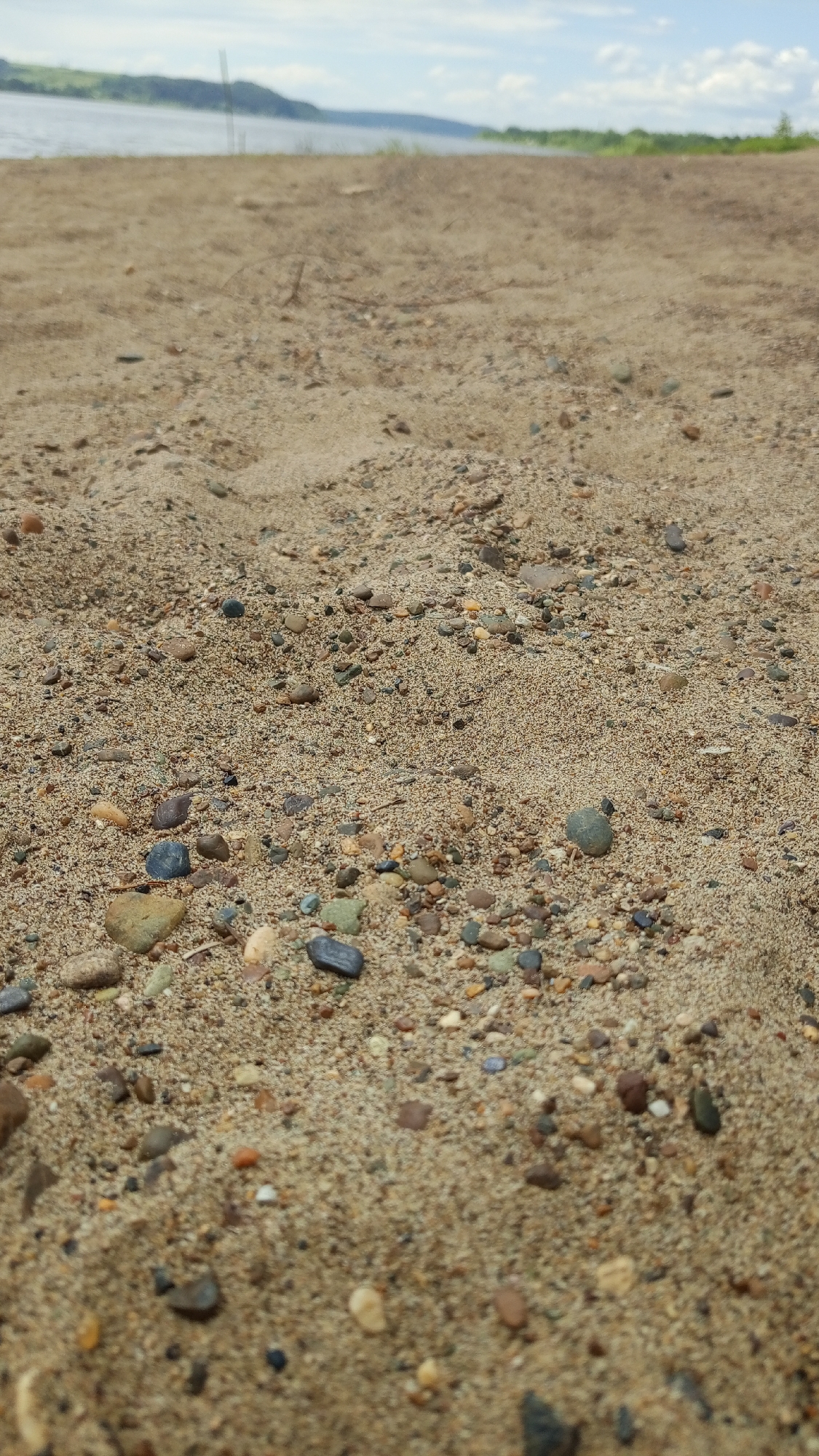 The image depicts a low-angle ground-level perspective of a sandy riverbank or beach, identified as being in the vicinity of Шолья, Russia. The foreground is in sharp focus, showcasing fine-grained, light brown sand interspersed with numerous small, multi-colored pebbles and gravel. These pebbles exhibit a range of natural colors including grey, black, white, various shades of brown, reddish-brown, green, and occasional hints of blue and orange. The sand's texture is visible, indicating individual particles.
Moving towards the midground, the sandy surface becomes progressively out of focus due to a shallow depth of field. A few faint, dark linear elements, possibly dried plant matter or debris, are minimally discernible in this area.
The background, largely out of focus, reveals a wide body of water, likely a river or lake, appearing calm with a light grey-blue hue. Beyond the water, a distant landmass characterized by gently sloping hills or banks, with patches of green vegetation and darker contours, stretches across the horizon.
The sky above the distant landmass is visible in the uppermost portion of the image, displaying a pale blue color with scattered white, fluffy cumulus clouds. The overall lighting suggests natural daylight conditions. No people, animals, or significant man-made structures are visible within the frame. The scene is static, depicting a natural landscape.