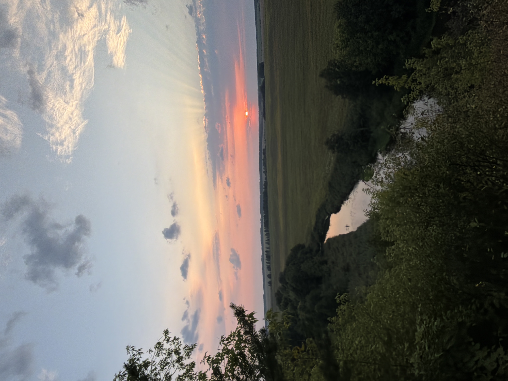 The image captures a sunset over a rural landscape. In the foreground, dense green foliage, appearing as trees and bushes, partially obscures the view from an elevated perspective. A narrow, reflective river winds through the midground, bordered by lush green vegetation and a vast, cultivated field that stretches towards the horizon. The sky is a gradient of soft blues, pinks, and oranges, with scattered clouds. Sunbeams emanate from behind a strip of clouds near the horizon, where the sun is a small, bright orange disc. The scene is peaceful and natural, evoking a sense of calm and the end of the day. No people are visible in the image. This scene is located in the village of Papulovo, Russia.