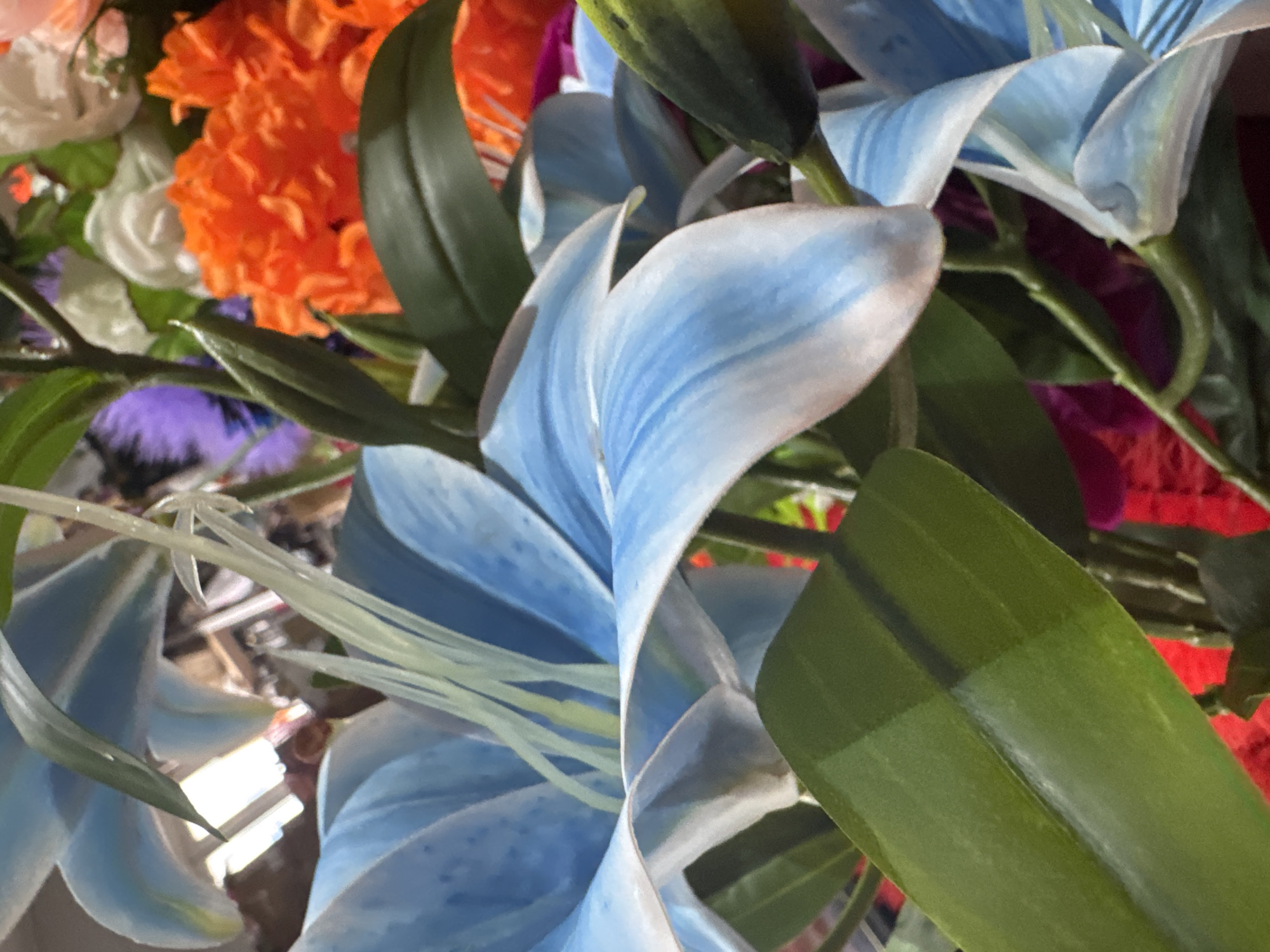 The media file is a close-up, eye-level, indoor shot of a floral arrangement. The subjects are artificial flowers, predominantly large, light blue lily-like blooms with prominent white stamens. Interspersed among them are vibrant orange, crinkled flowers, possibly chrysanthemums or carnations, and hints of purple and white flowers are also visible. The setting appears to be a well-lit room, with the sunlight casting bright reflections and shadows, particularly on the lower left side of the image where some objects are blurred and out of focus, suggesting they are in the background. The overall impression is one of a colorful and decorative display. There is no visible text in the image. The time of day and weather are not discernible.