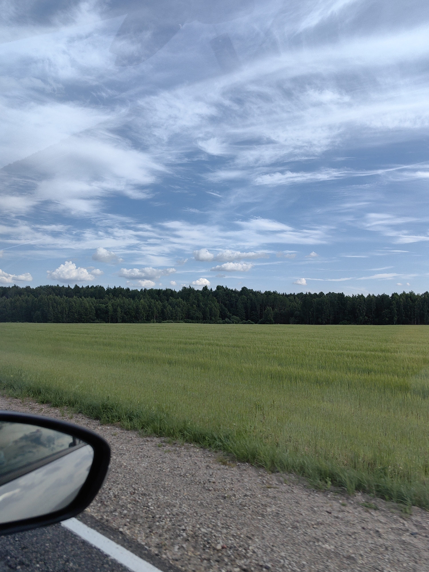 The image captures a rural landscape from the perspective of a vehicle traveling on a road. In the foreground, a car's side mirror is visible on the left, reflecting a cloudy sky. The road itself is surfaced with asphalt and gravel. Beyond the road, a vast field of green crops, likely wheat or barley, stretches towards a dense forest line in the mid-ground. The forest forms a dark green band against the horizon. Above the field and forest, a dynamic sky fills the upper portion of the image, featuring a mix of white cumulus clouds and wispy cirrus clouds against a bright blue backdrop. The scene is set in a natural, open environment with agricultural and forested elements, characteristic of the rural areas within the Хаценчыцкі сельскі Савет, Belarus. There are no people or animals visibly present in the image.