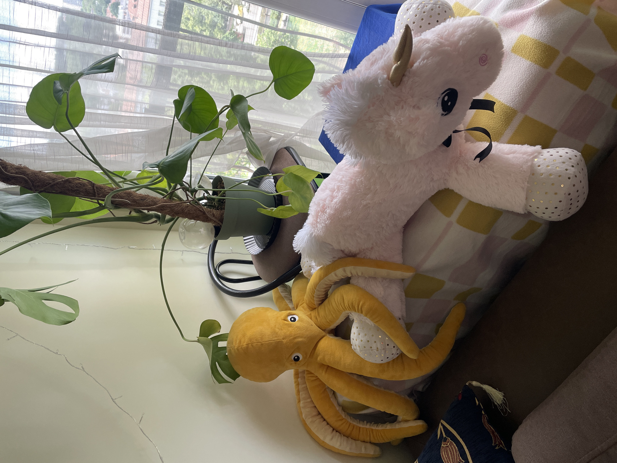 A medium shot depicts a scene with a plant, two plush toys, and part of a window.
The plant, a monstera deliciosa, is on the left, growing out of a green pot. It has multiple green leaves with characteristic splits, and a moss pole supports its growth. A string of fairy lights is also visible near the plant.
Adjacent to the plant is a light-pink unicorn plush toy, which rests on a pillow or cushion with a checkered pattern. The unicorn has gold accents on its hooves and horn, and a black ribbon around its neck.
Beneath the unicorn is a yellow octopus plush toy with large eyes and tentacles. Both plush toys appear to be lying on a couch or similar furniture.
In the background, a window with sheer white curtains allows natural light to filter into the room. Through the window, a view of buildings and foliage suggests an urban or suburban environment. The location is noted as Vracar Urban Municipality, Serbia.