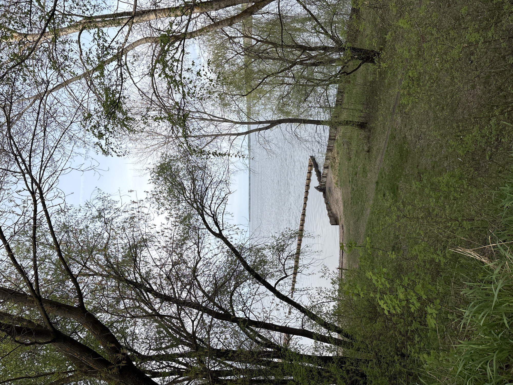 The image captures a waterfront scene with trees framing a body of water, likely a river or lake. A barrier constructed of logs or planks runs along the edge of the water, potentially a breakwater or erosion control measure. Vegetation, including grass and bushes, covers the embankment. The trees are in varying stages of foliage, some still bare while others show emerging leaves, indicating springtime. The water is calm, reflecting the sky above. There is no evidence that indicates the scene is specifically in the city of Chaikovsky, Russia.