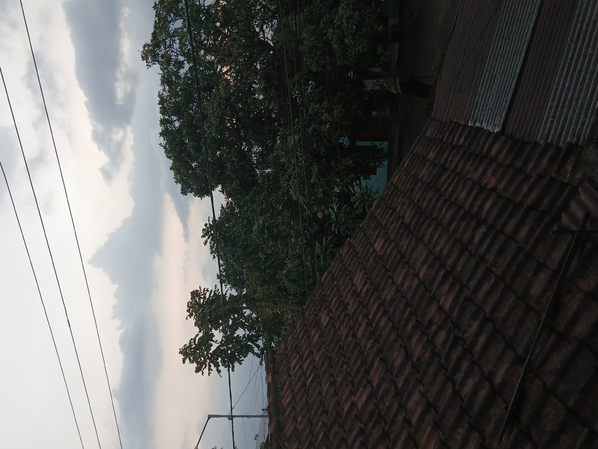 The image depicts a rooftop view in Kademangan Kulon, Indonesia, at dusk. In the foreground, a weathered, dark red tiled roof slopes diagonally from the bottom left to the upper right. To the right of this roof, a corrugated metal roof with silver and rust-colored panels is visible. Behind the rooftops, a dense canopy of dark green trees dominates the mid-ground. A light blue building is partially visible between the trees. The sky above is overcast with muted gray and white clouds, suggesting either an approaching storm or the end of the day. Several black electrical wires are strung horizontally across the sky. A street lamp pole is visible on the far left. The scene is devoid of any discernible people or active events.