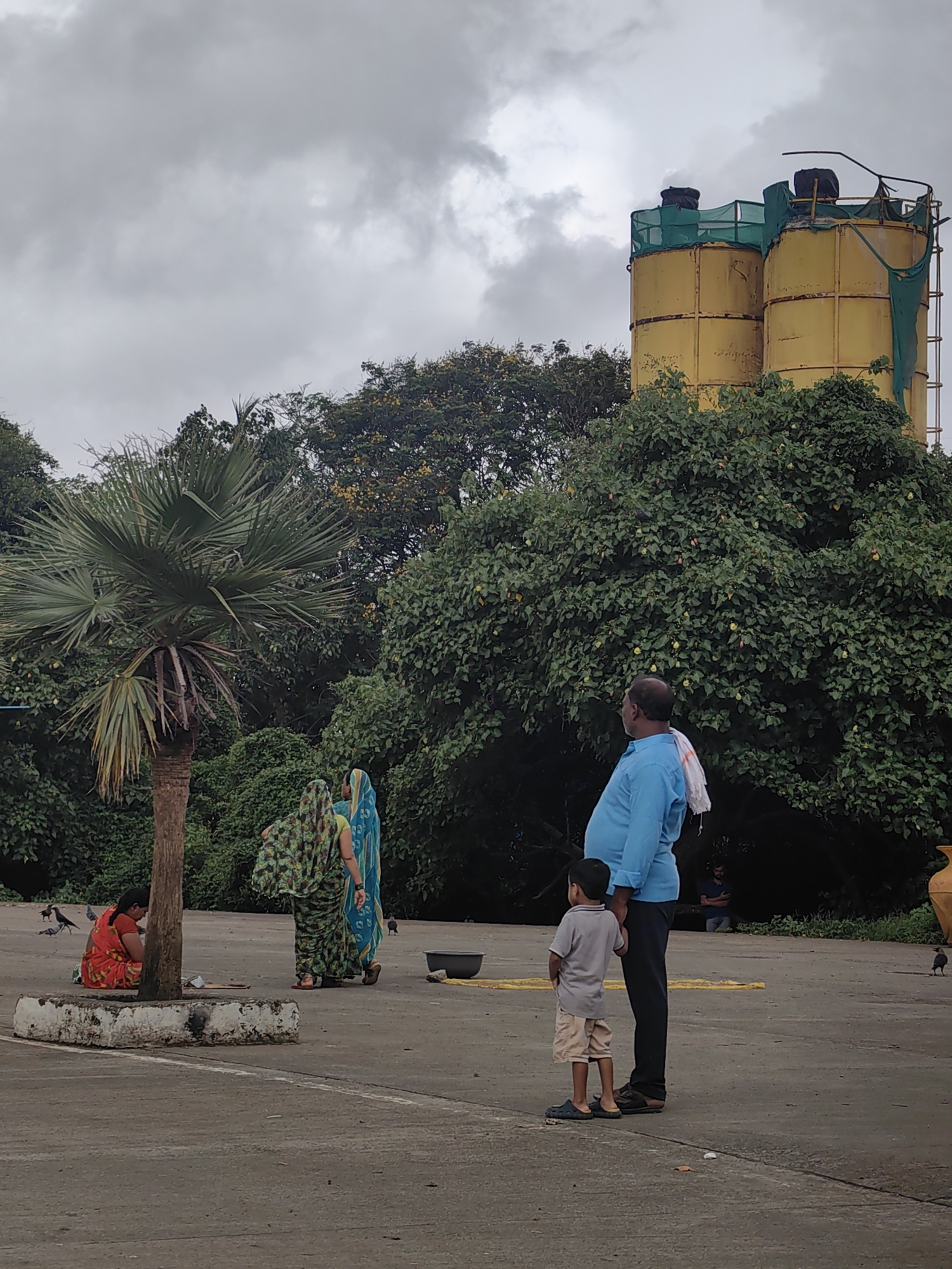 A wide shot captures an outdoor scene under a cloudy sky, likely in Mira-Bhayander, India, with industrial structures and lush greenery dominating the background. In the mid-ground, two large, yellow cylindrical silos, possibly part of a cement plant, are partially covered with green netting and stand against the overcast sky. Dense, dark green foliage surrounds the silos and extends across the lower half of the image, with a few yellow flowers visible on some branches.
In the foreground, on a paved area, several people are present. To the left, near a palm tree with a thick trunk and fan-shaped leaves, a woman in a red and orange sari is seated on the ground, accompanied by several pigeons. Further right, two women in colorful saris, one in green and black and the other in blue and green, are standing and walking away from the viewer. A man in a bright blue shirt and dark pants, with a white cloth draped over his shoulder, stands facing to the right, looking upwards. Beside him, a young boy in a grey shirt and light-colored shorts stands with his hands behind his back, also looking in the same direction. Further in the background, a man is seated. The ground is concrete, with some yellow painted lines and scattered leaves and debris. A large grey basin and a tall yellow vase are also visible on the ground. The overall atmosphere is somewhat subdued due to the overcast weather.