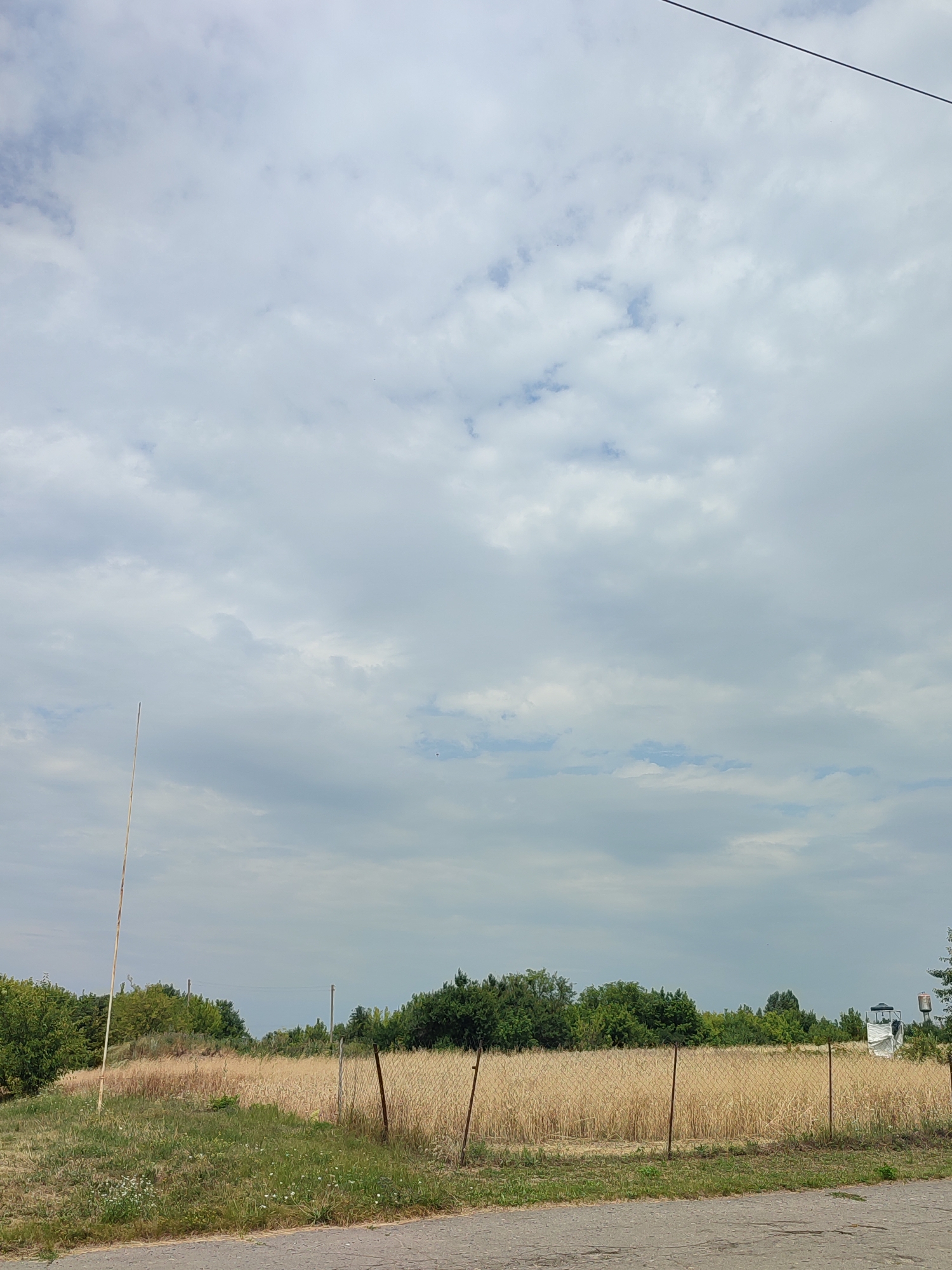 The image depicts an outdoor scene under a cloudy sky. In the foreground, a paved surface is visible, transitioning into a grassy area with scattered white wildflowers. A thin, weathered pole stands vertically on the left side of the frame, and a rusty chain-link fence runs across the midground. Behind the fence, a field of dry, golden wheat extends into the distance, bordered by a line of lush green trees. In the far background, on the right side of the image, a small white structure with a dark roof, possibly a guard booth, is situated next to a water tower. The overall impression is a rural or semi-rural landscape. The location is described as Unknown, Unknown.